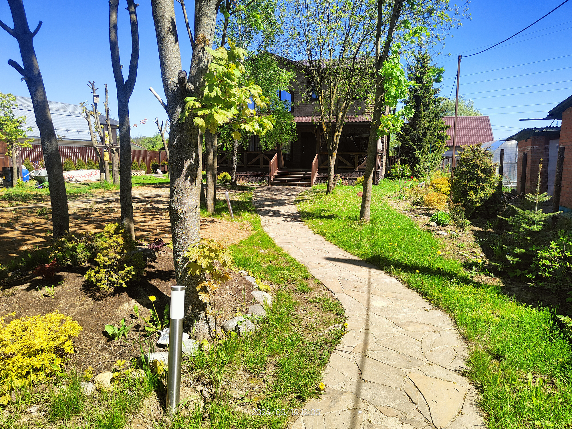 ПОД СЕНЬЮ КЛЁНОВ