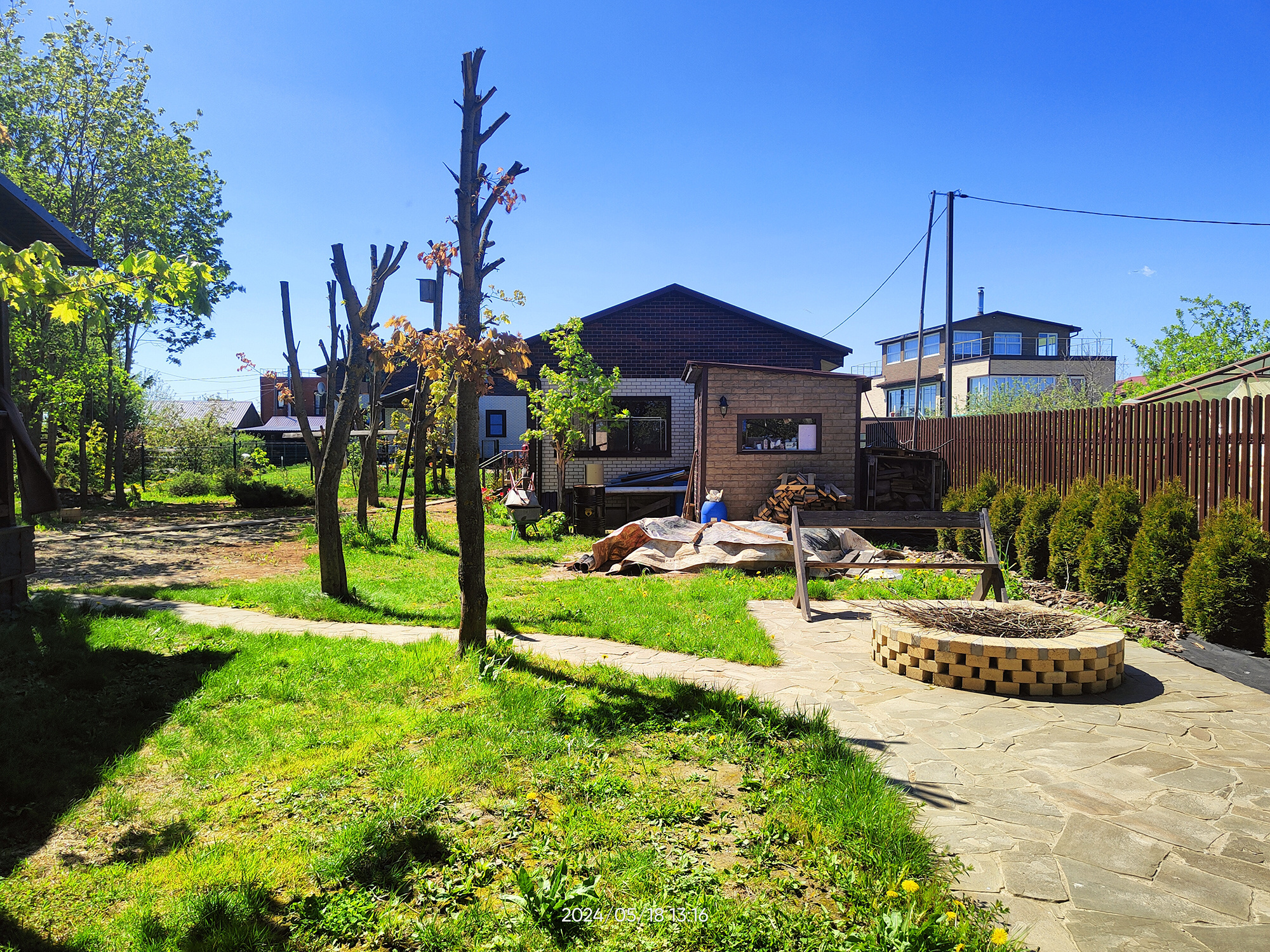 ПОД СЕНЬЮ КЛЁНОВ