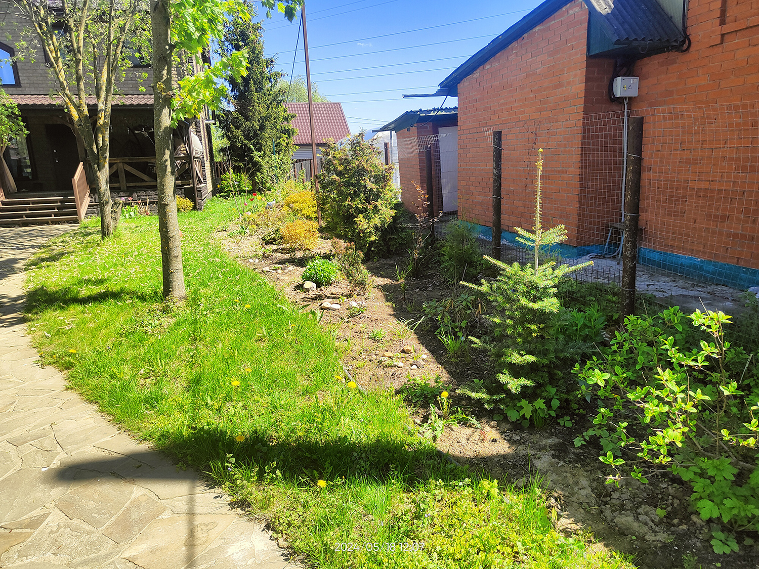 ПОД СЕНЬЮ КЛЁНОВ