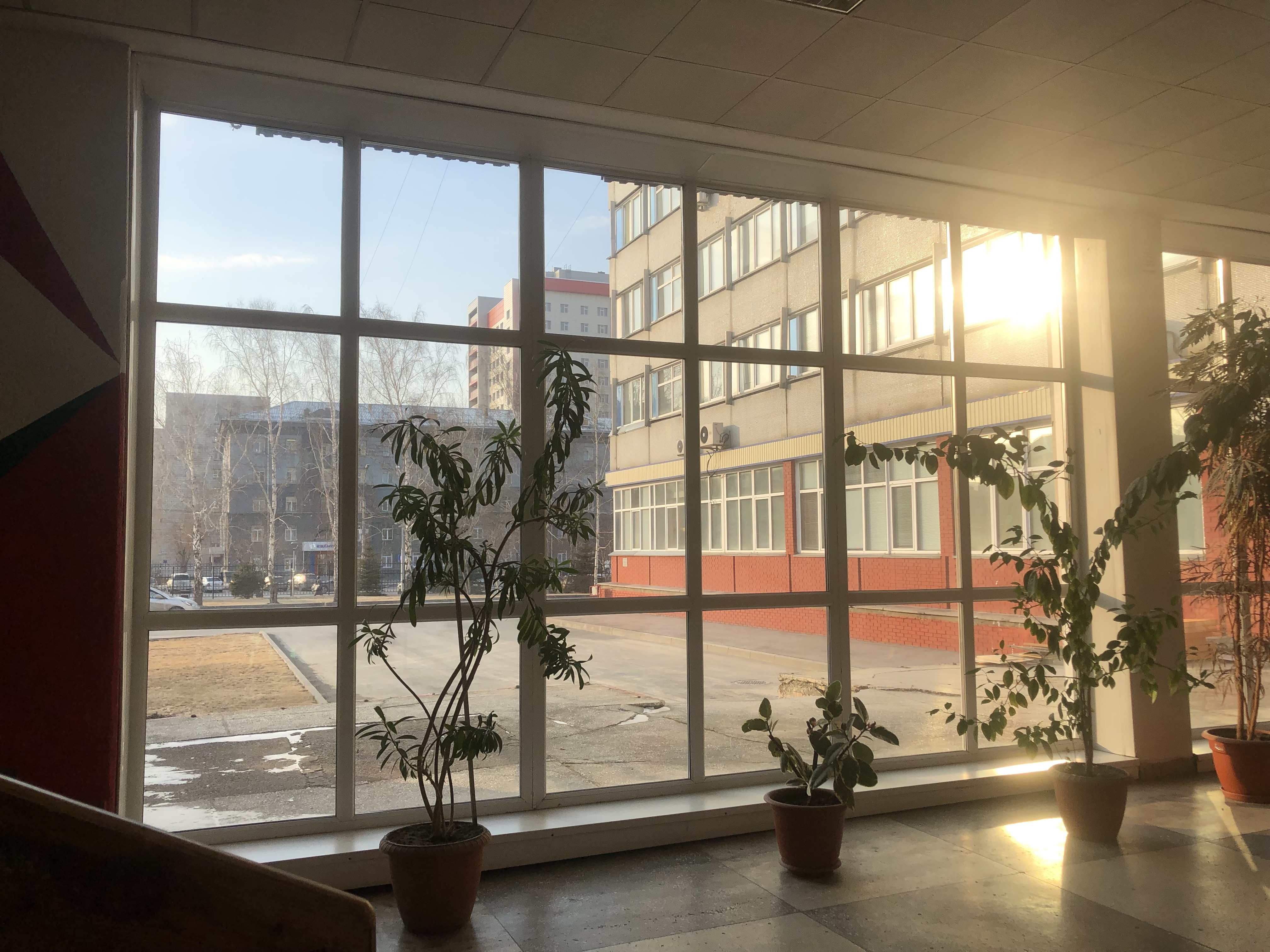 Визуальная концепция оформления главного холла НГТУ