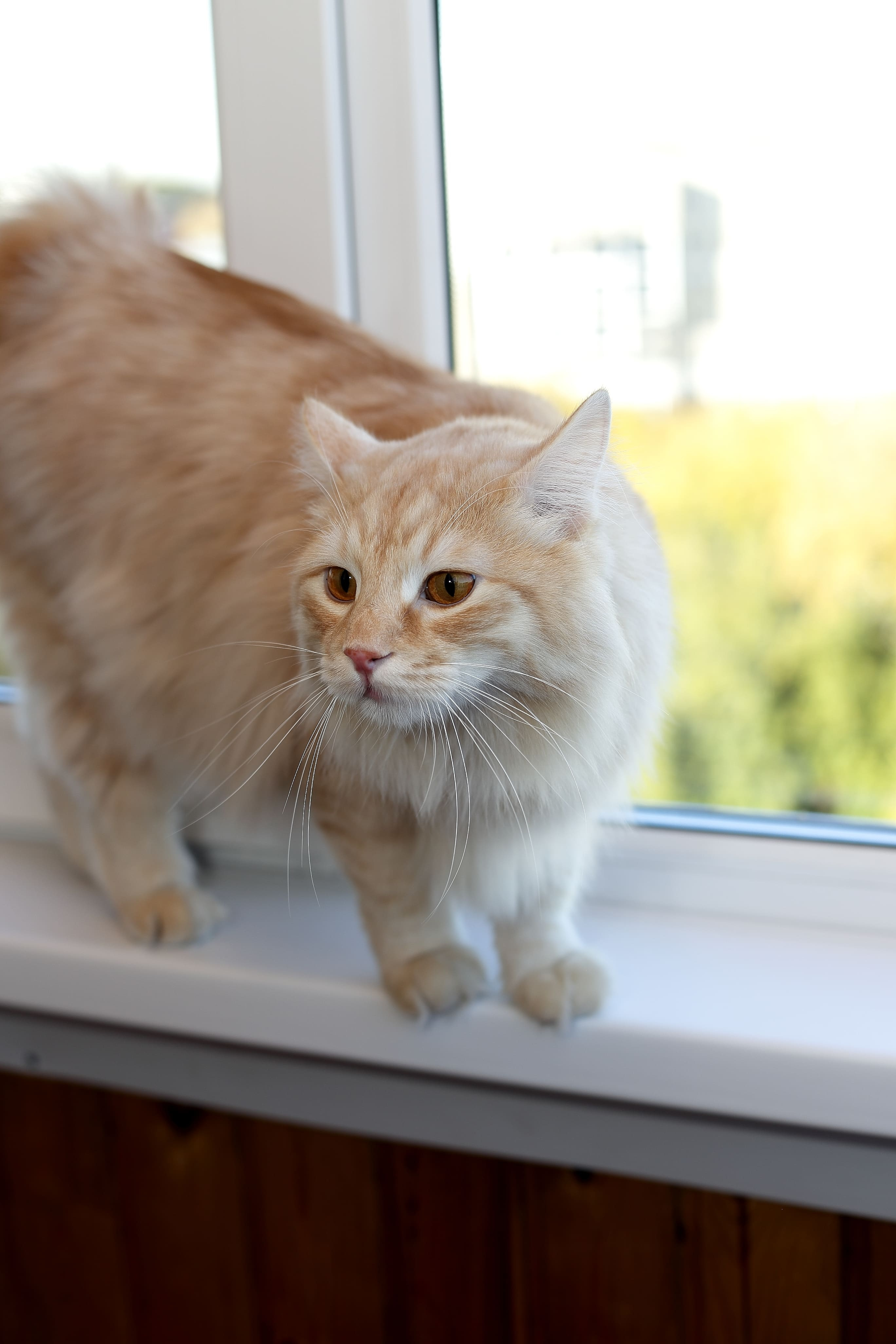 Балконы и лоджии