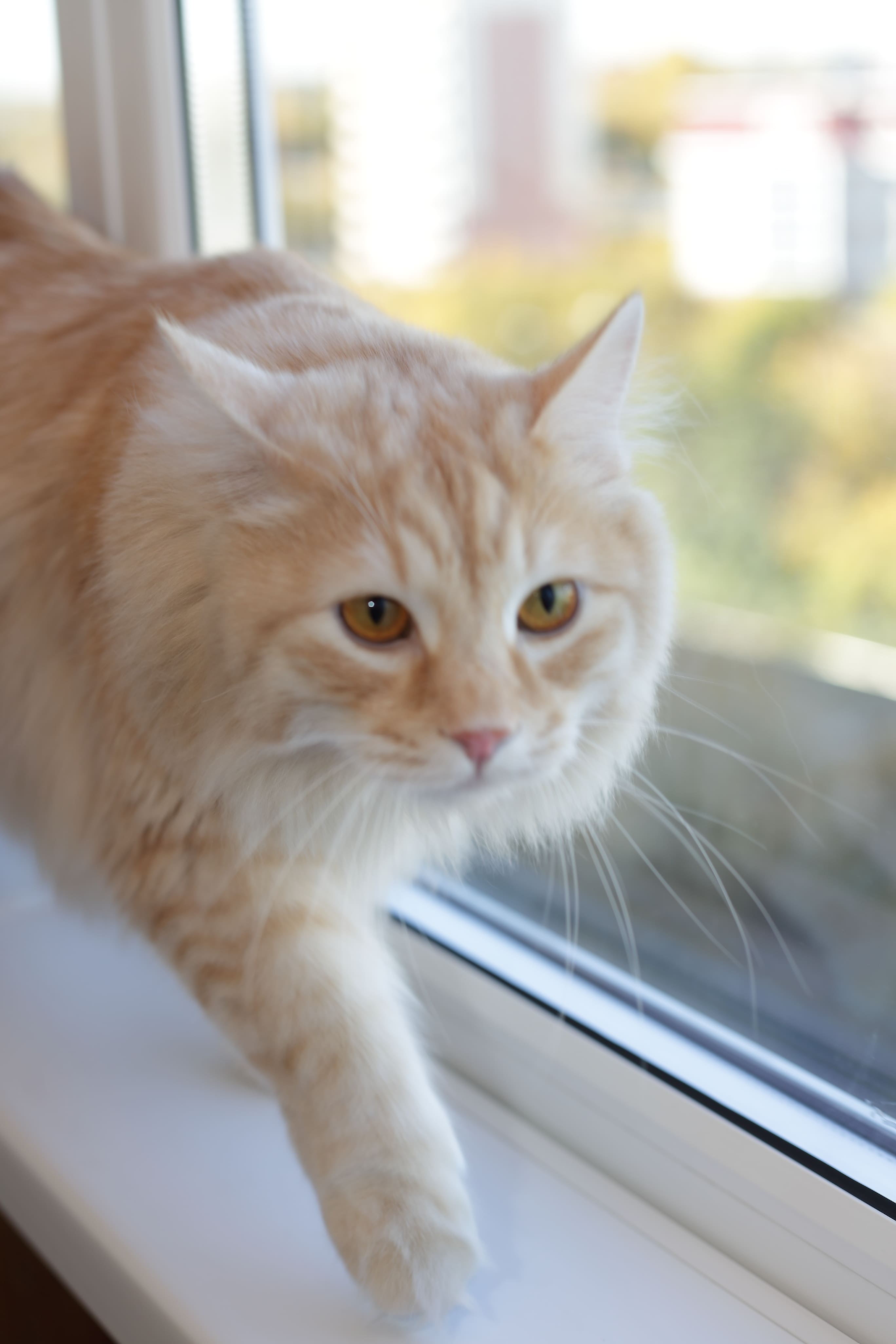 Балконы и лоджии