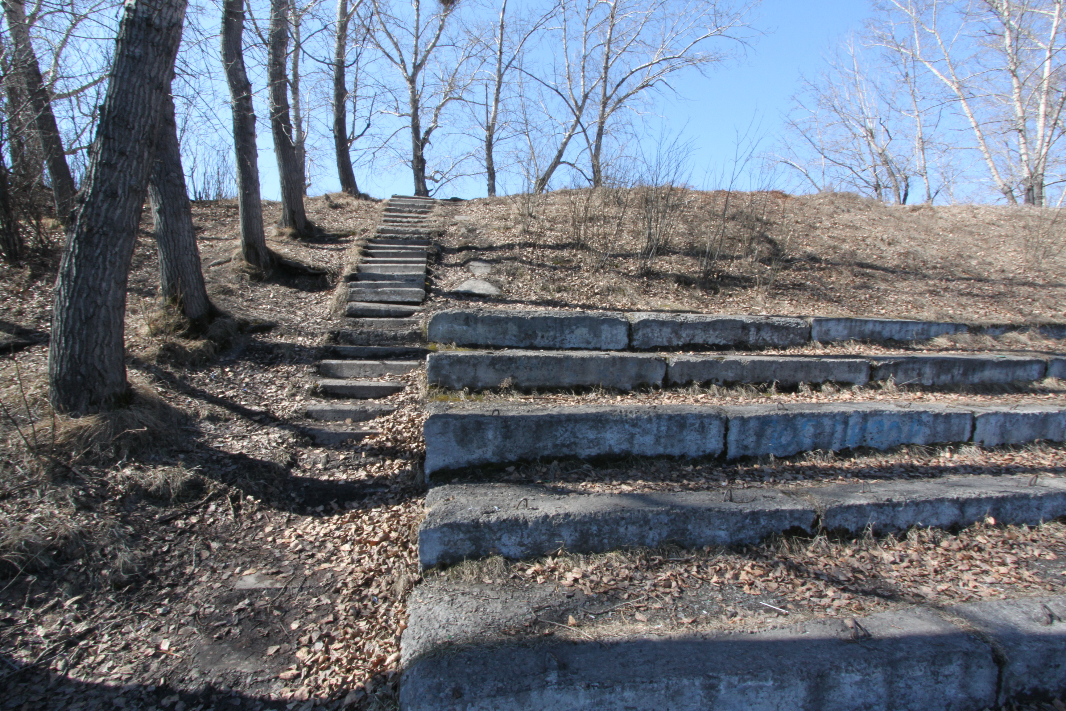 СТАДИОН СТРОИТЕЛЬ КОНЦЕПЦИЯ РЕКОНСТРУКЦИИ