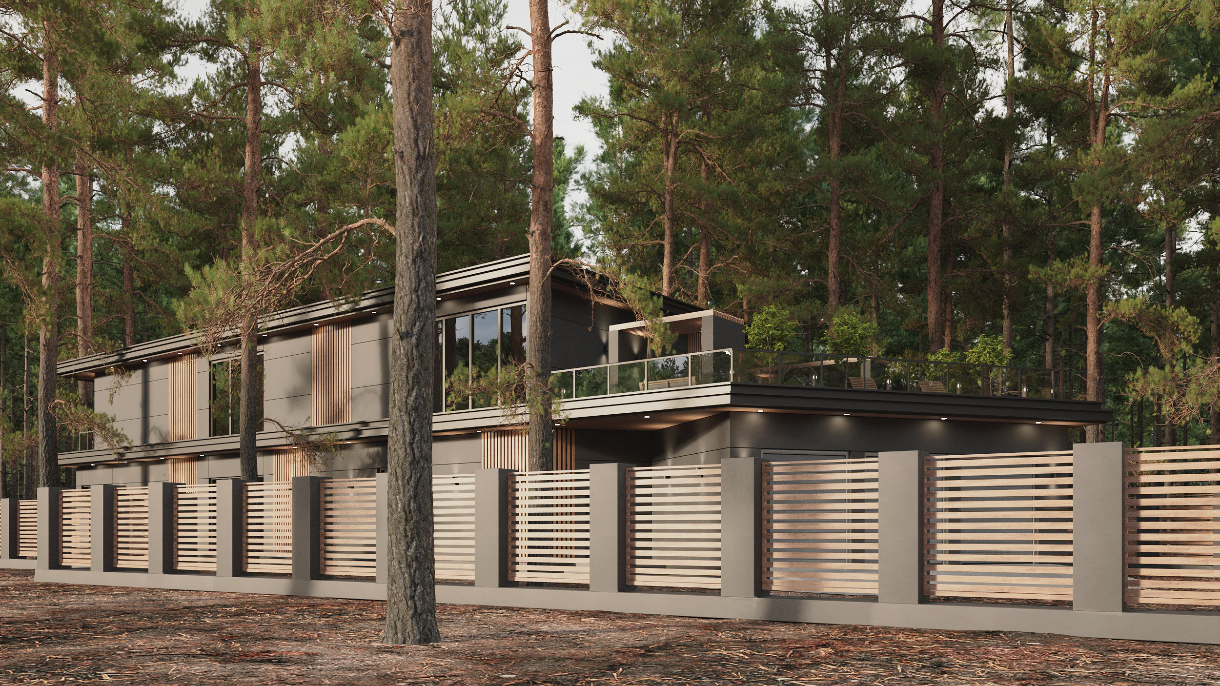 Экстерьер загородного дома в п. Репино