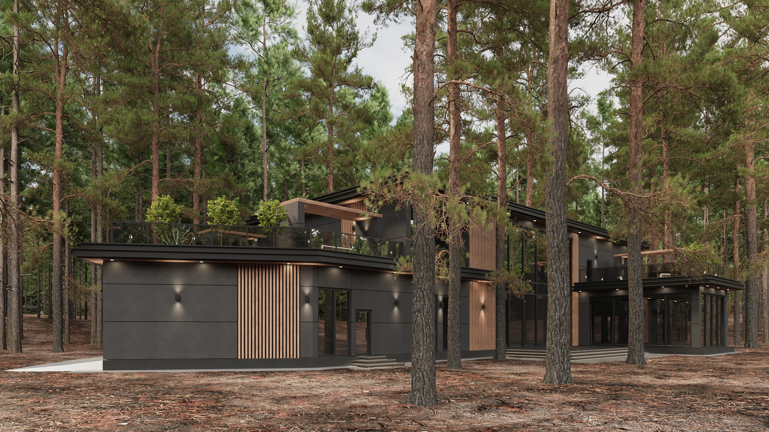 Экстерьер загородного дома в п. Репино