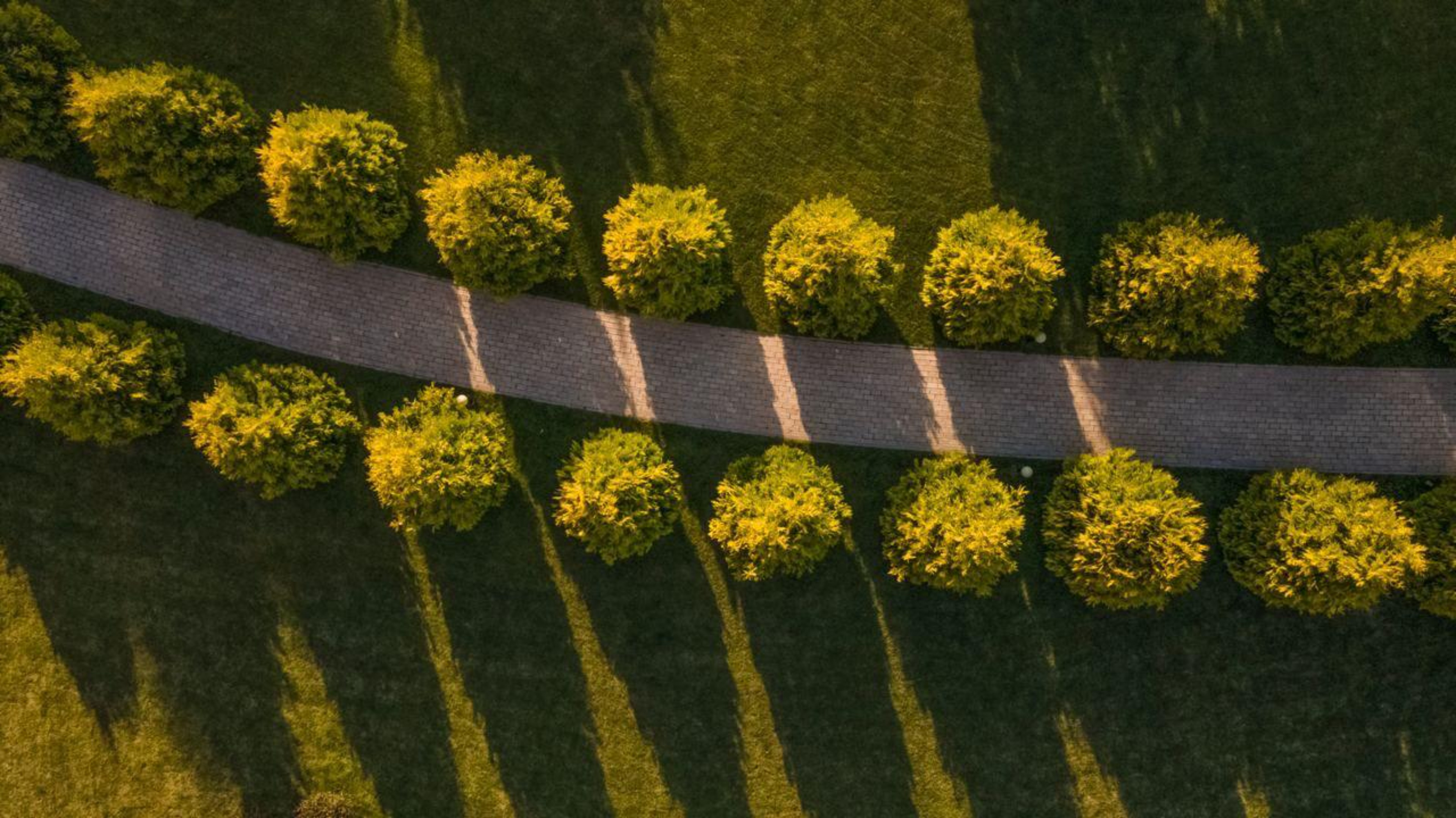 Дом площадью 1000м²