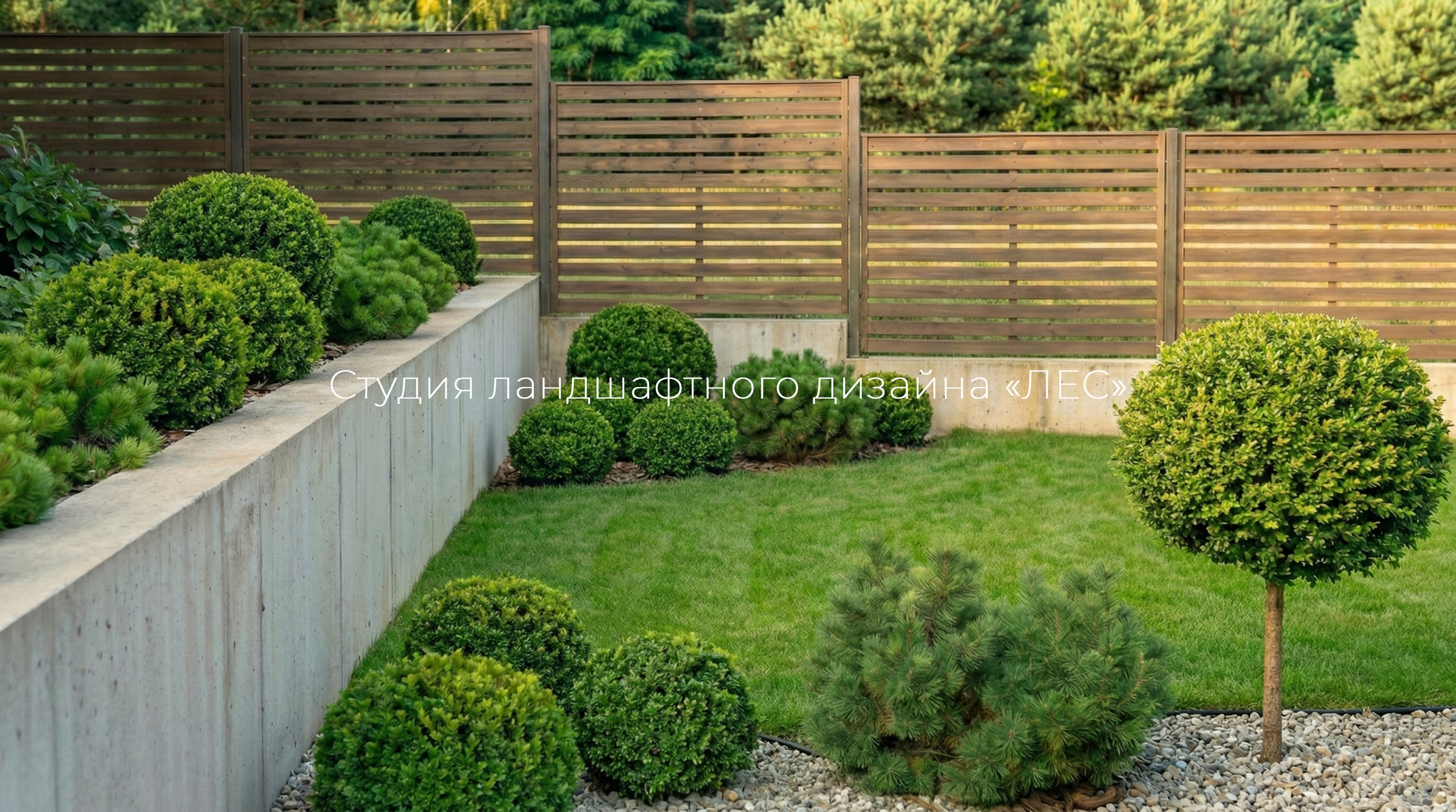 Участок, приютившийся в тени деревьев