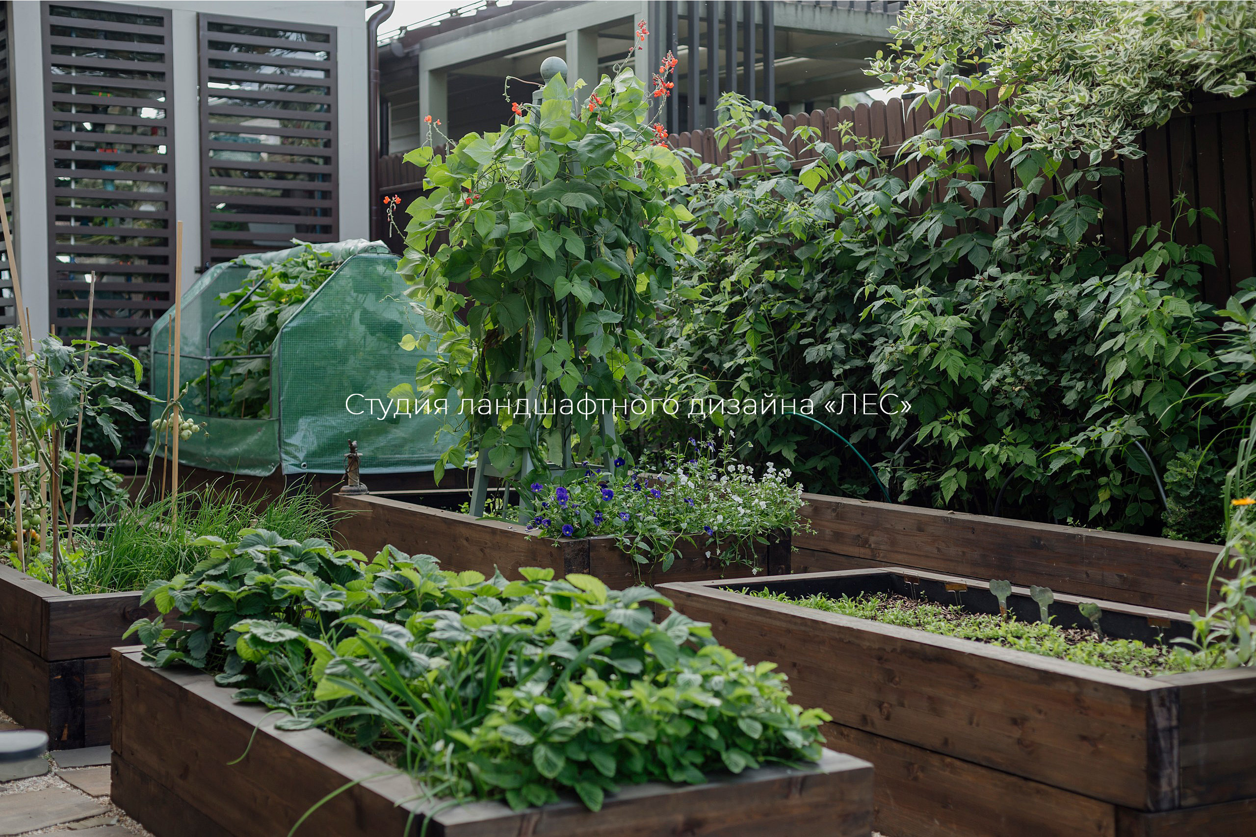 "Дом у зелёного горизонта"