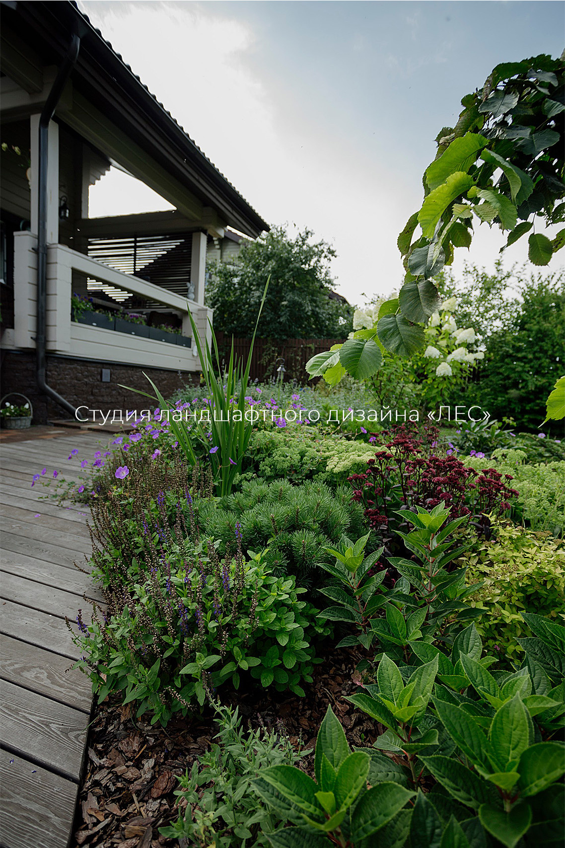 "Дом у зелёного горизонта"