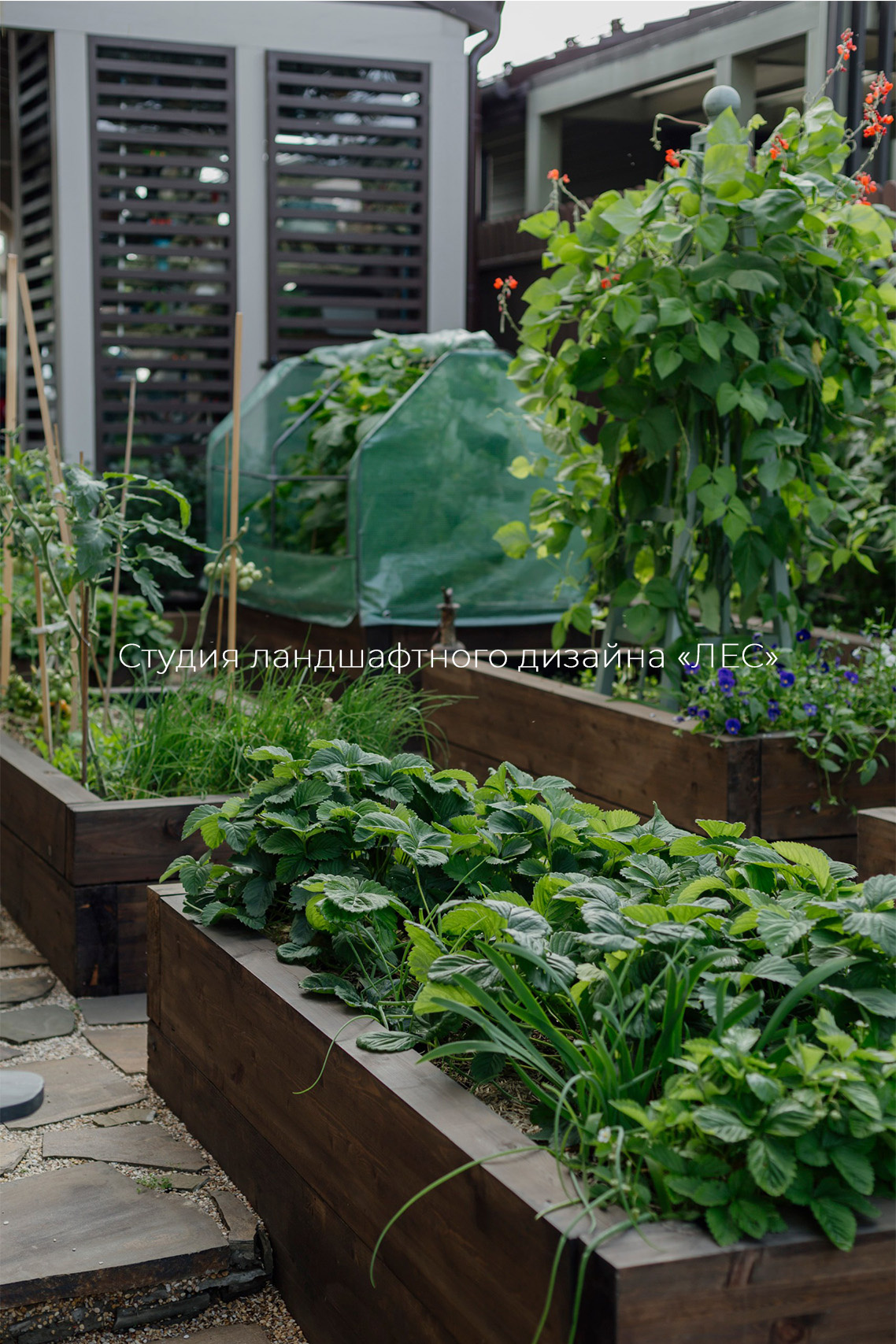 "Дом у зелёного горизонта"