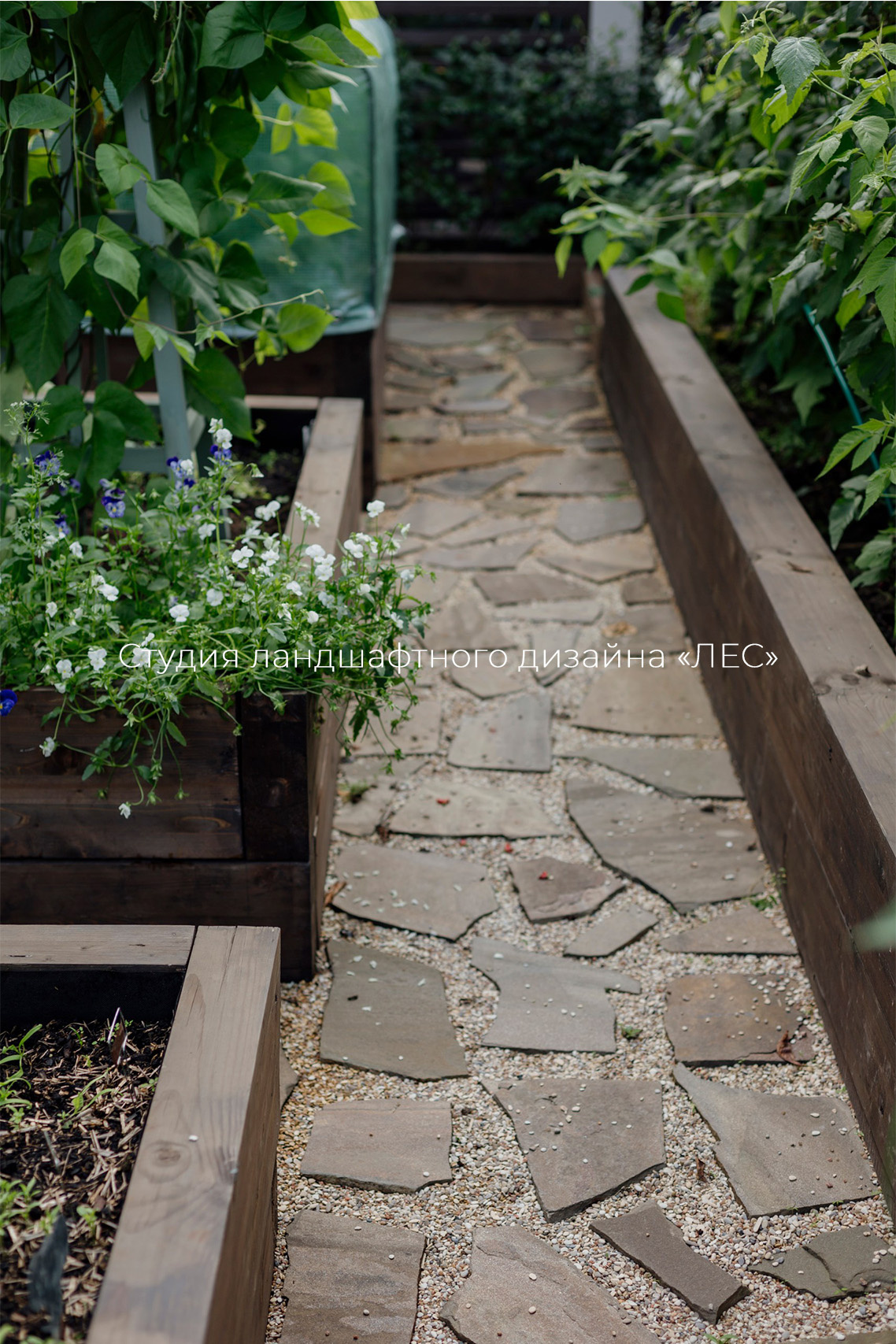 "Дом у зелёного горизонта"