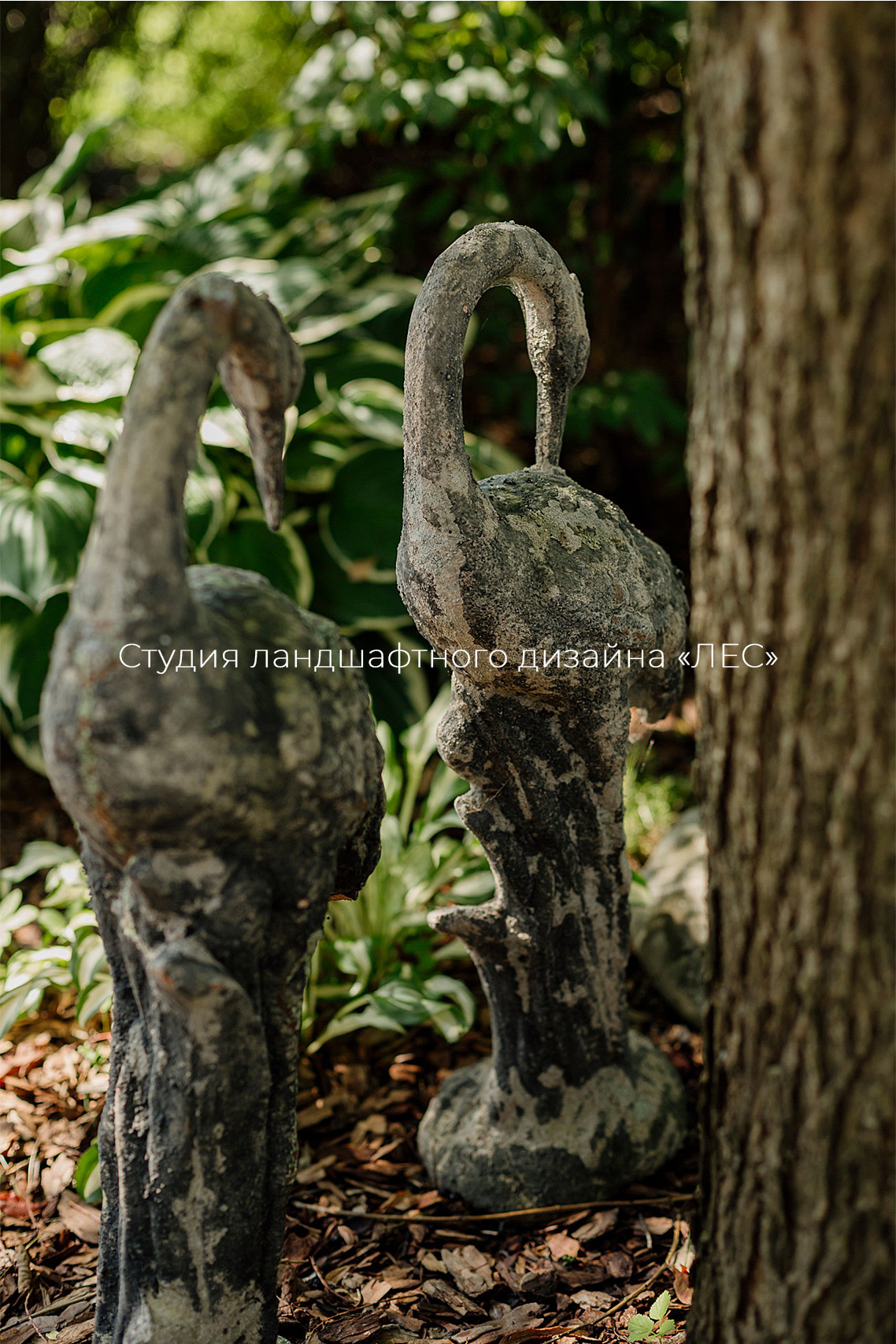 "Дом у зелёного горизонта"