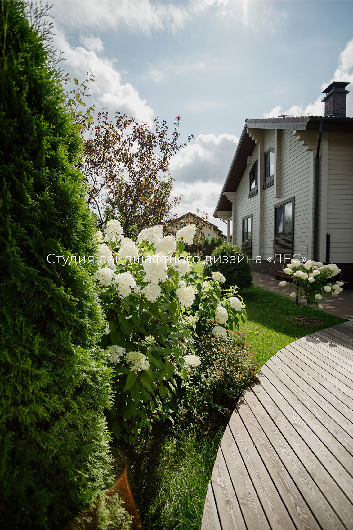 "Дом у зелёного горизонта"