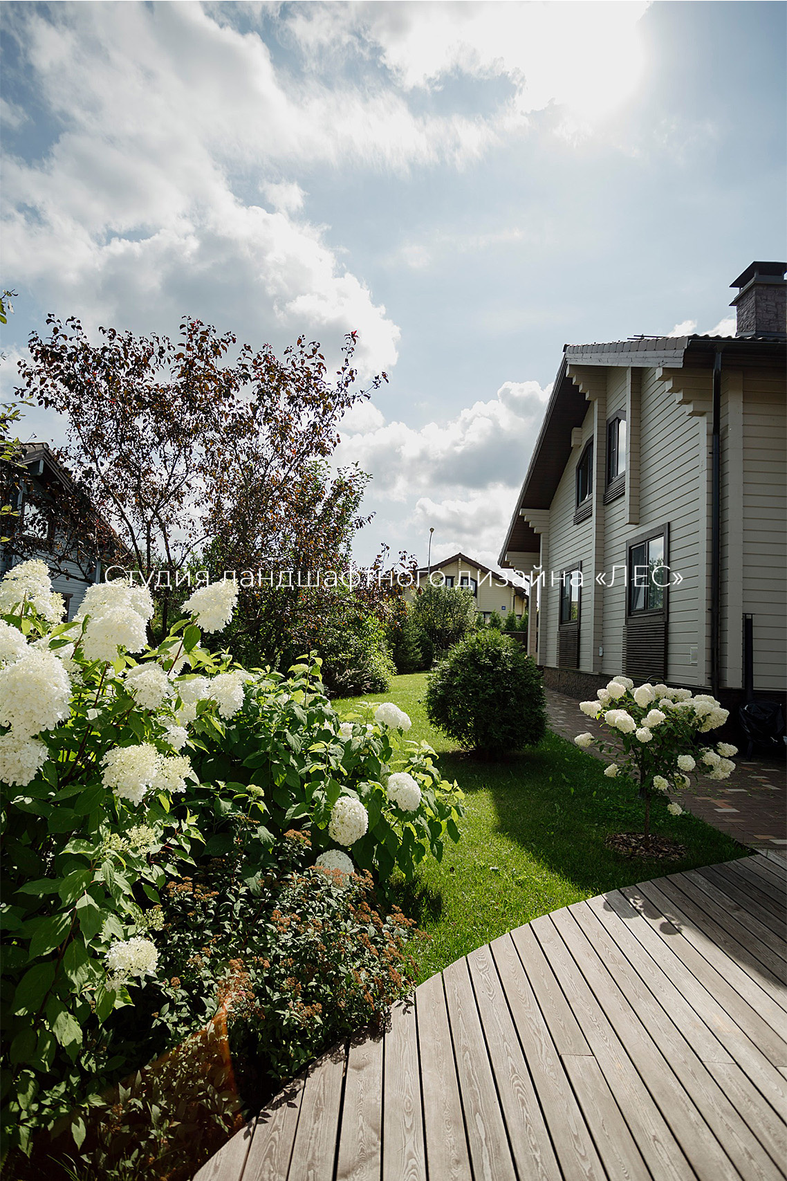 "Дом у зелёного горизонта"