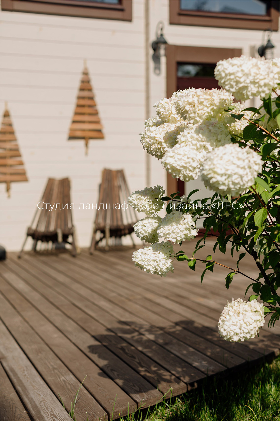 "Дом у зелёного горизонта"