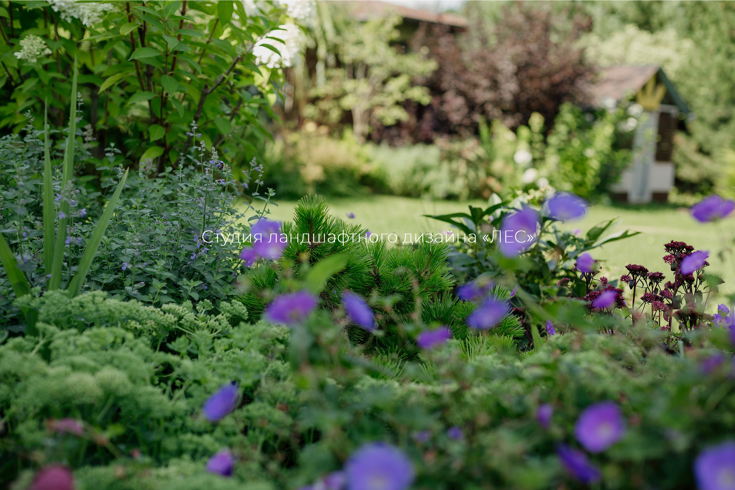 "Дом у зелёного горизонта"