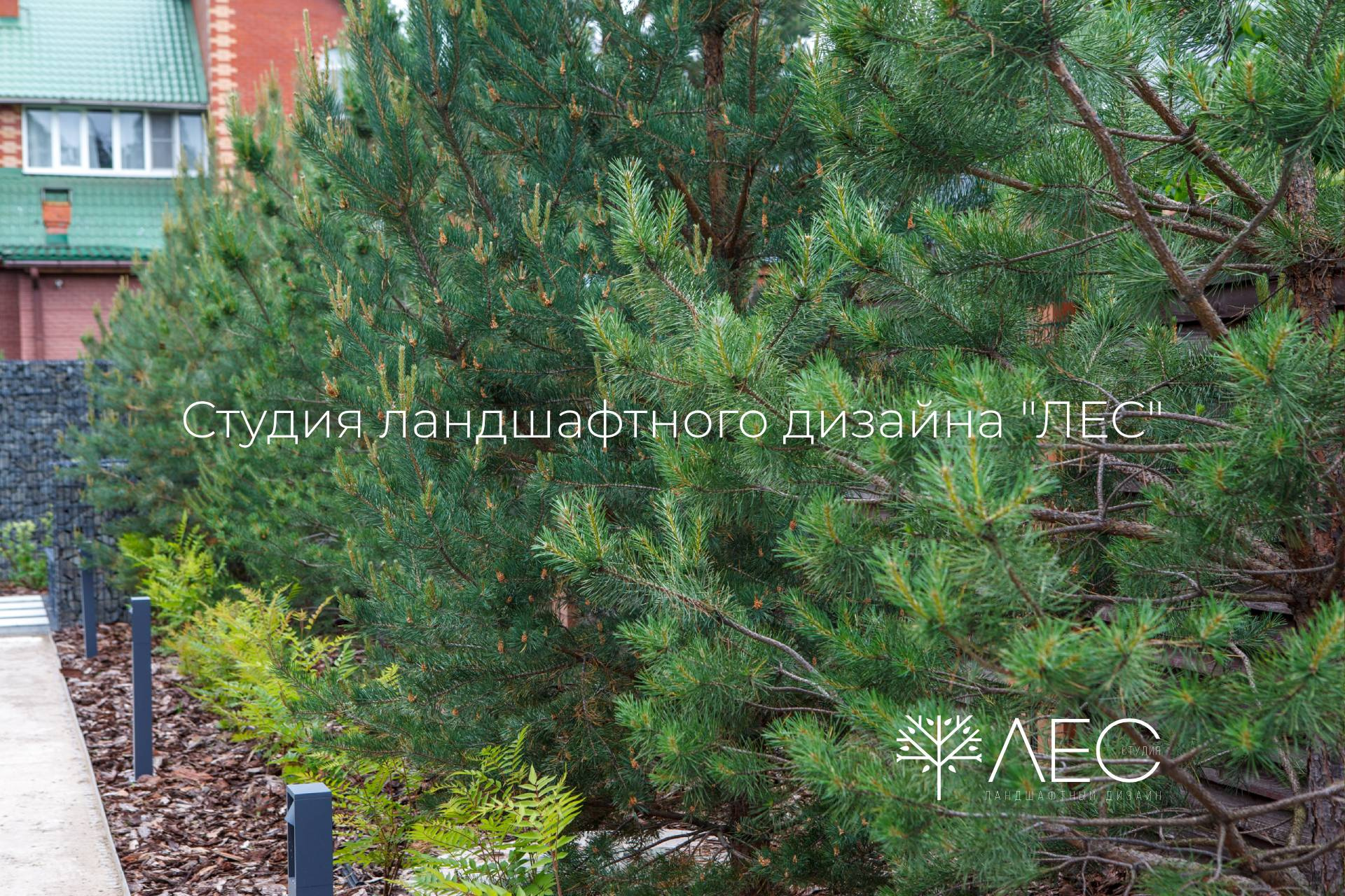 "Геометрия зелёного сада"