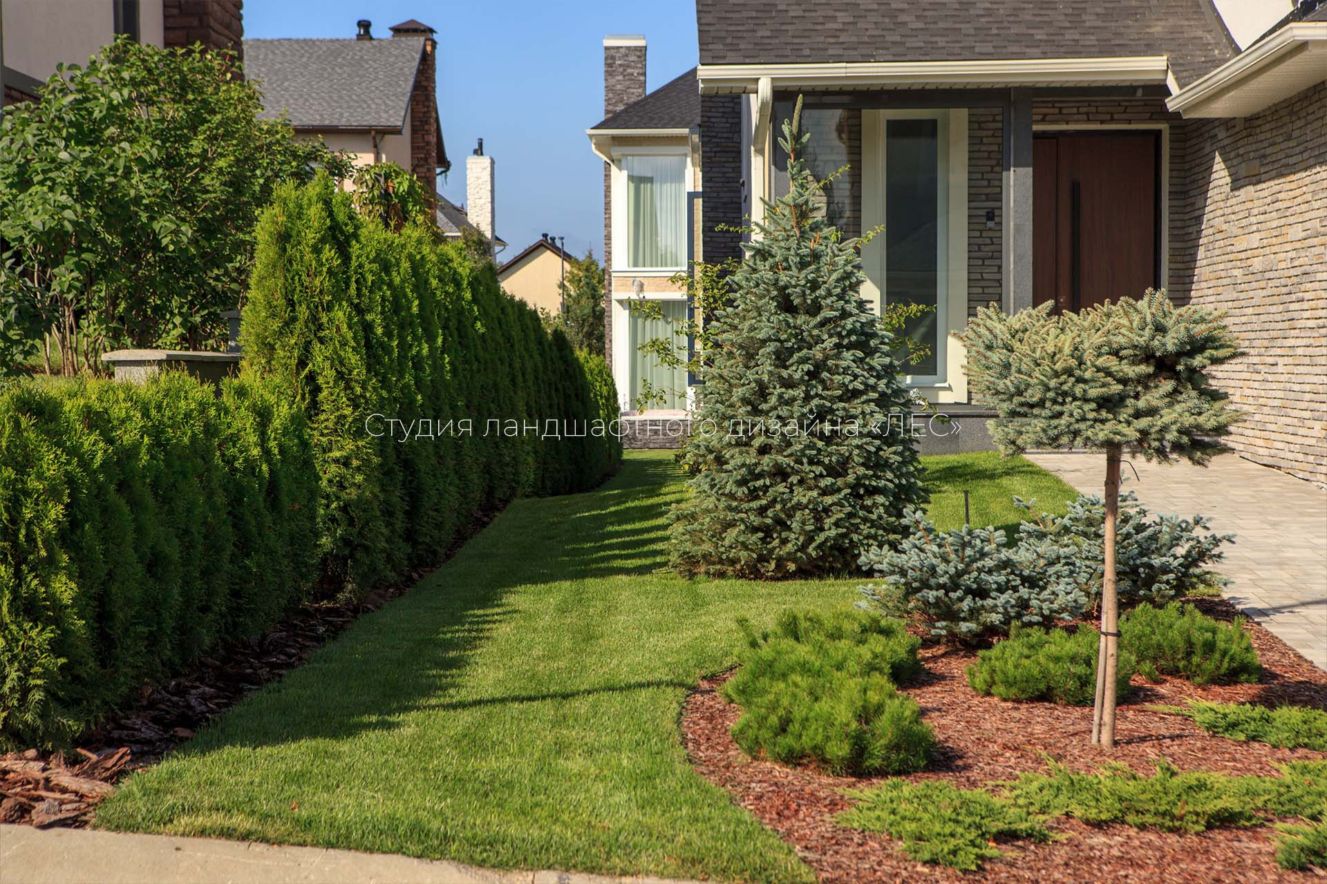 “Аллея света”