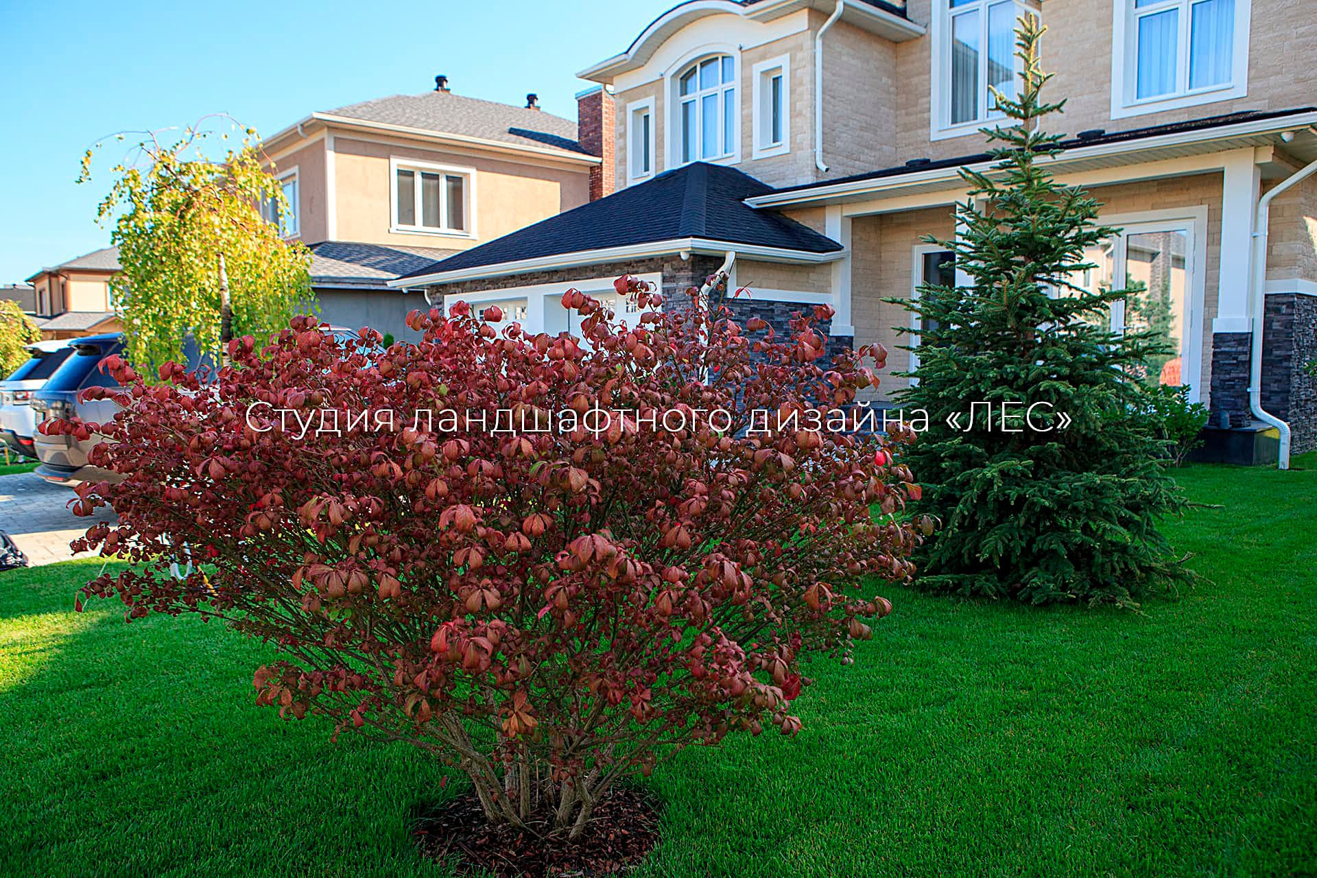 “Аллея света”