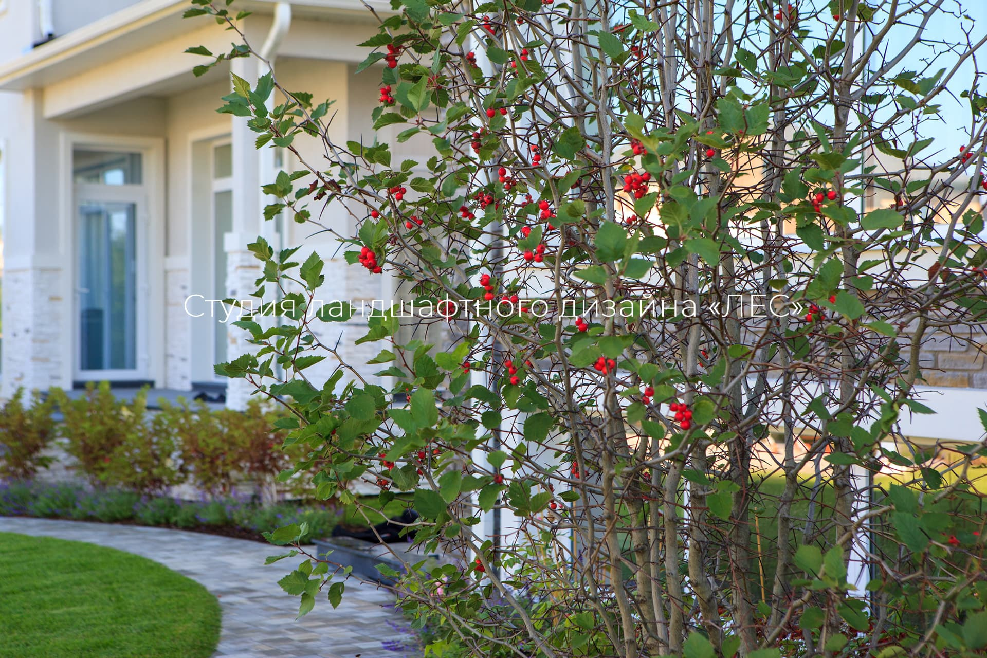 “Аллея света”