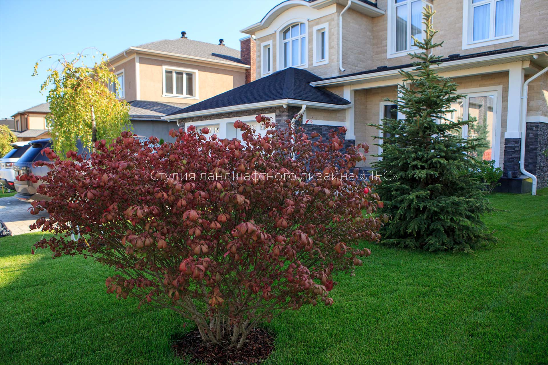 “Аллея света”