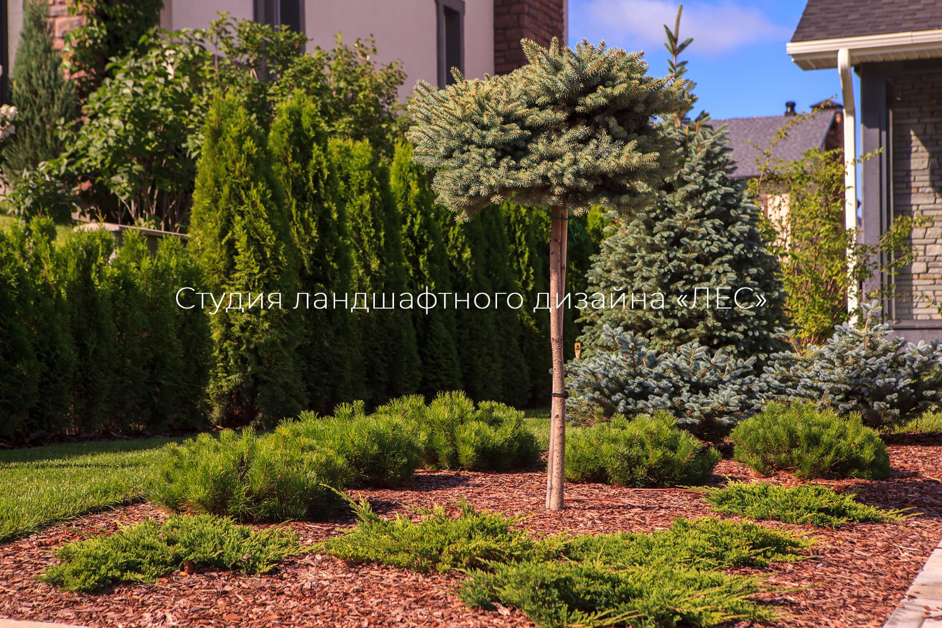 “Аллея света”