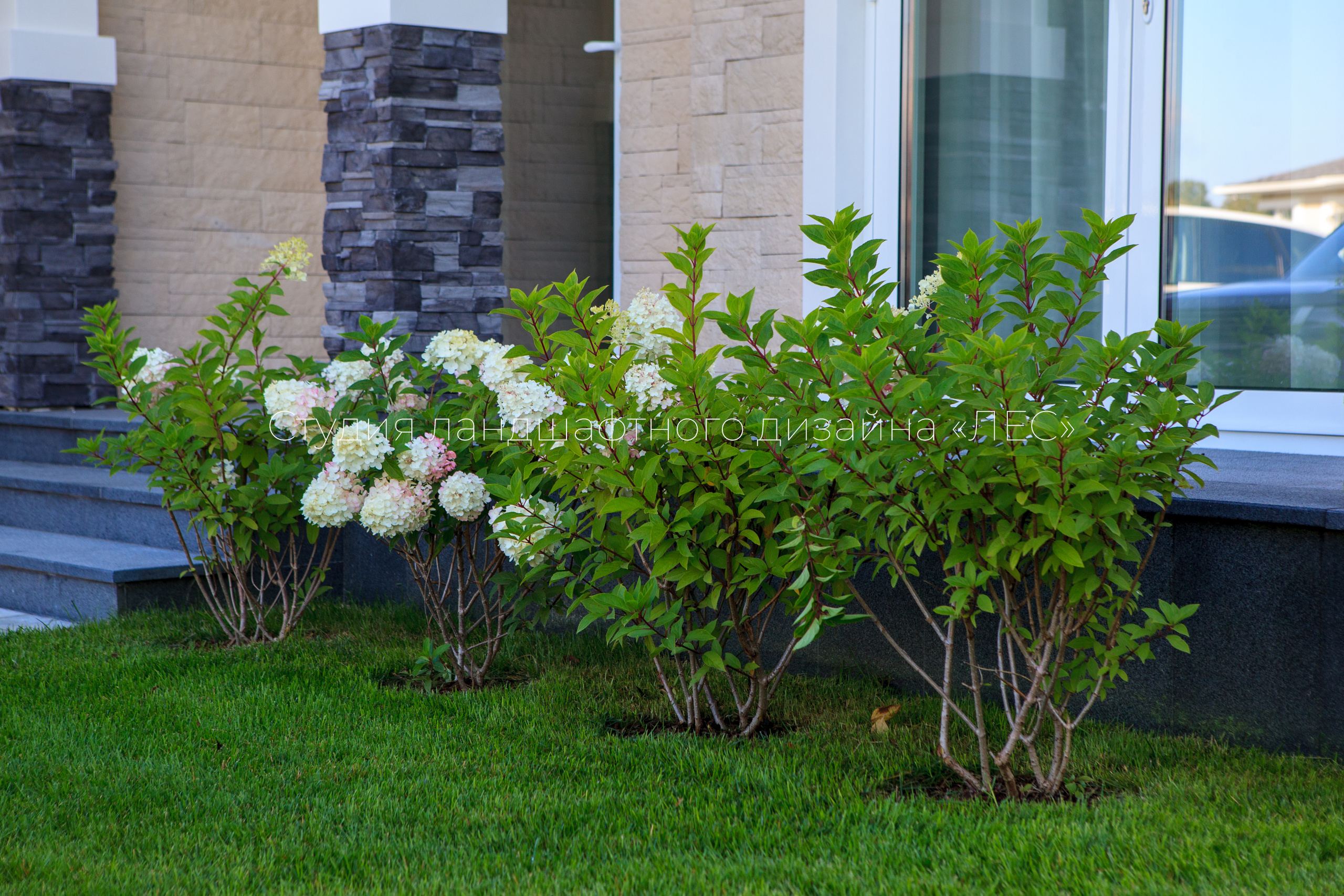 “Аллея света”