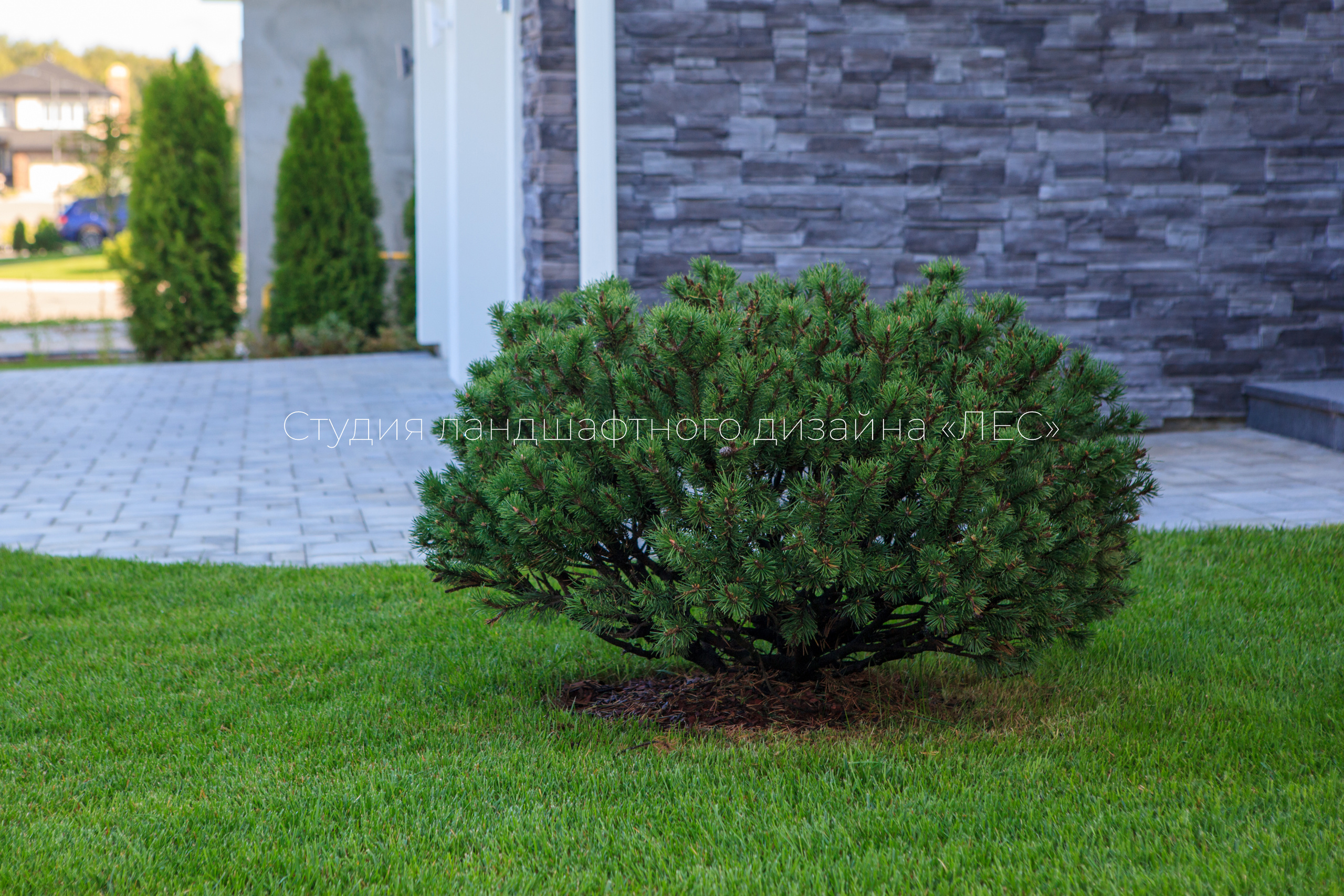 “Аллея света”