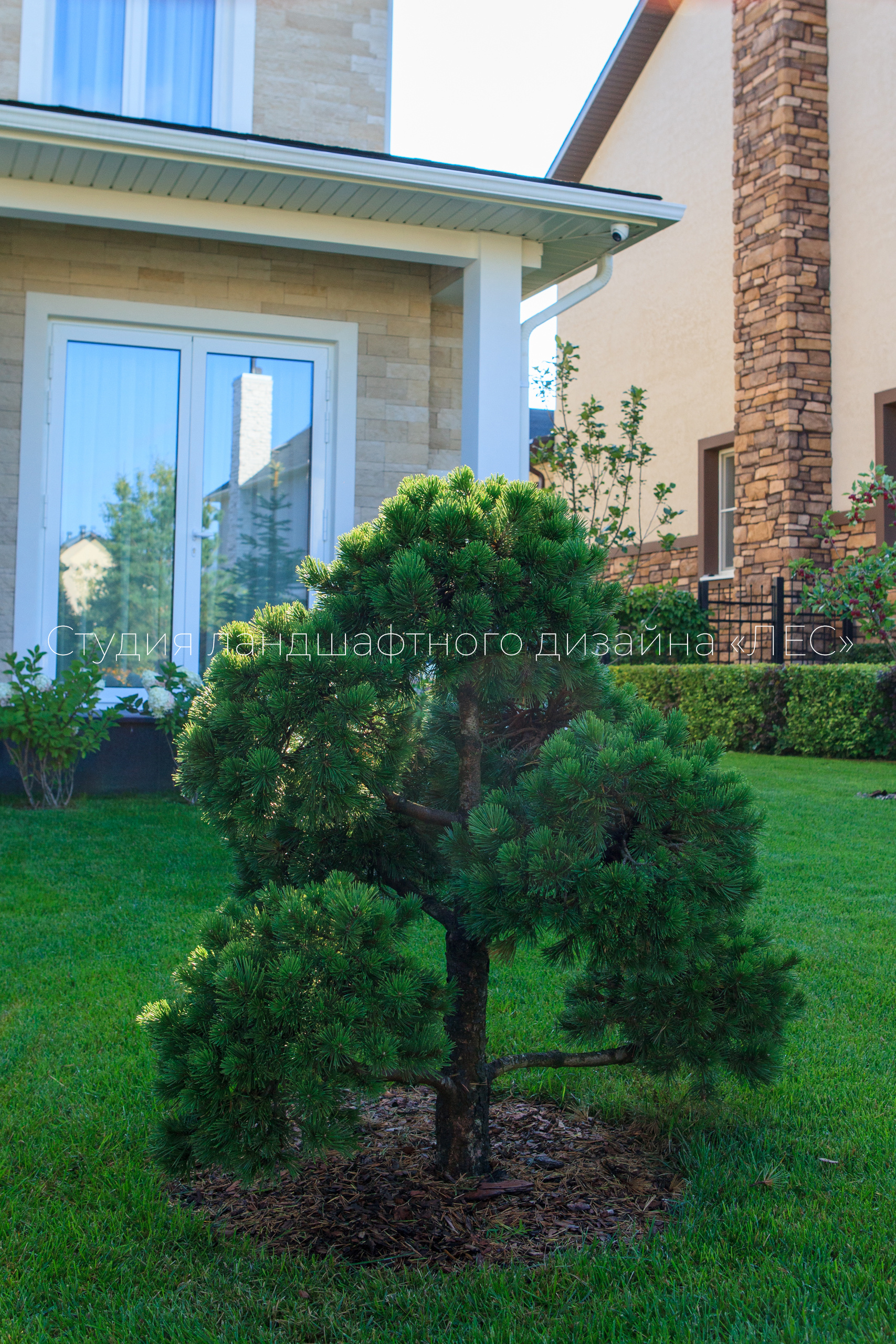 “Аллея света”