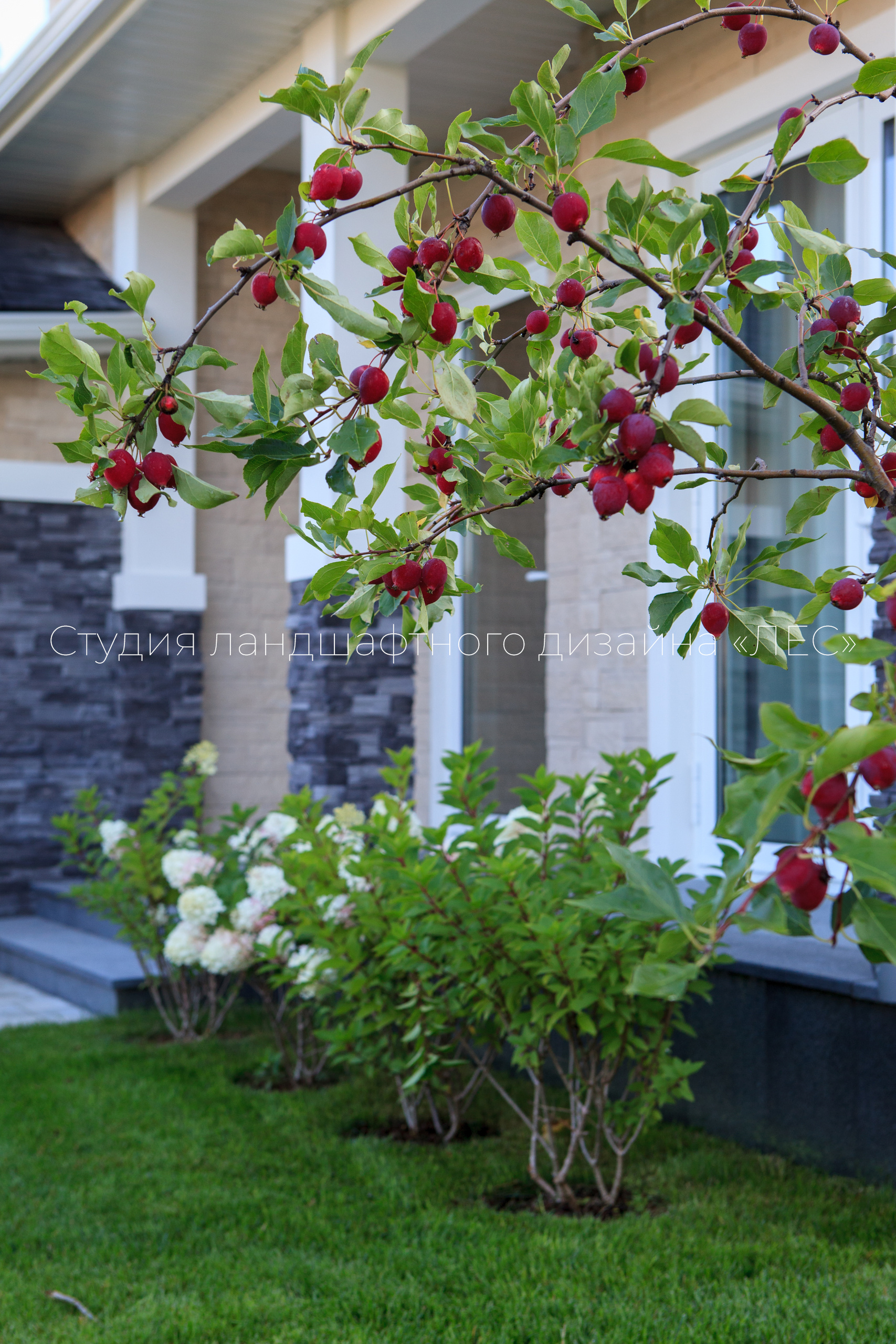 “Аллея света”