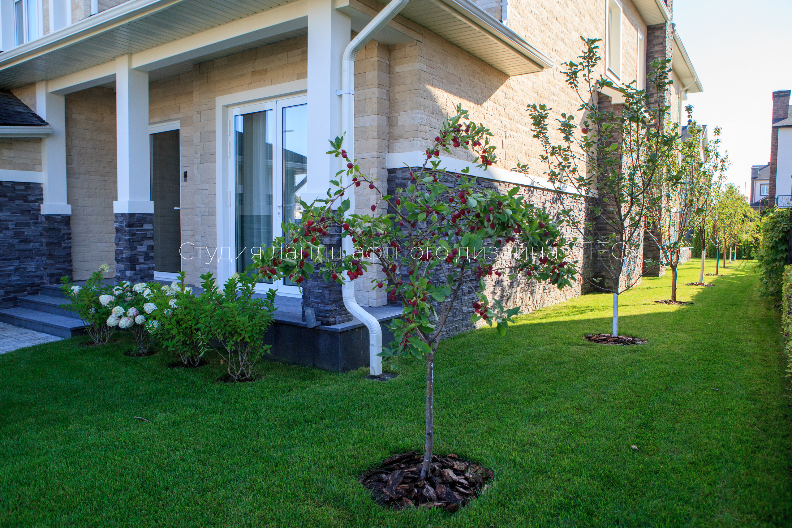 “Аллея света”