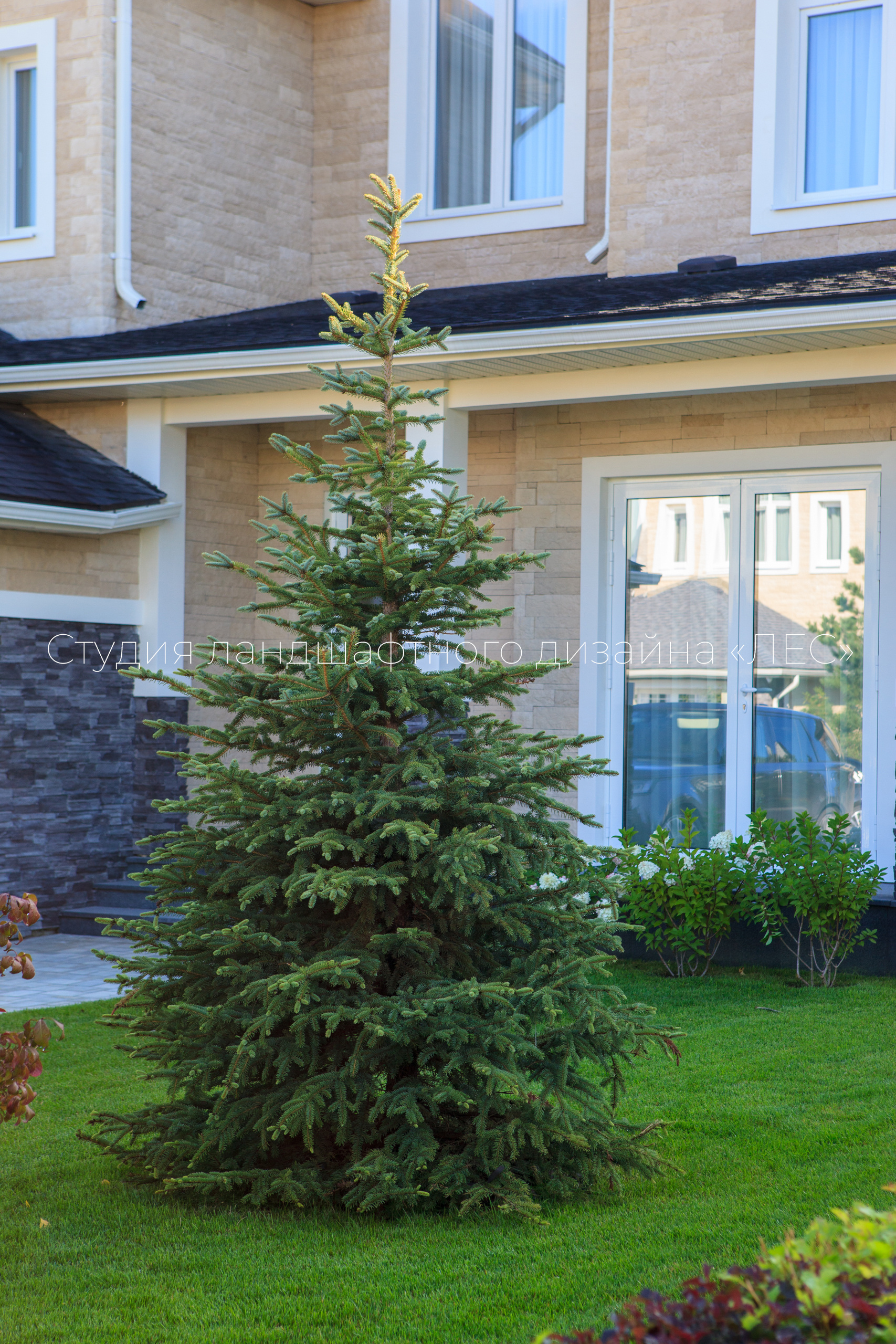 “Аллея света”