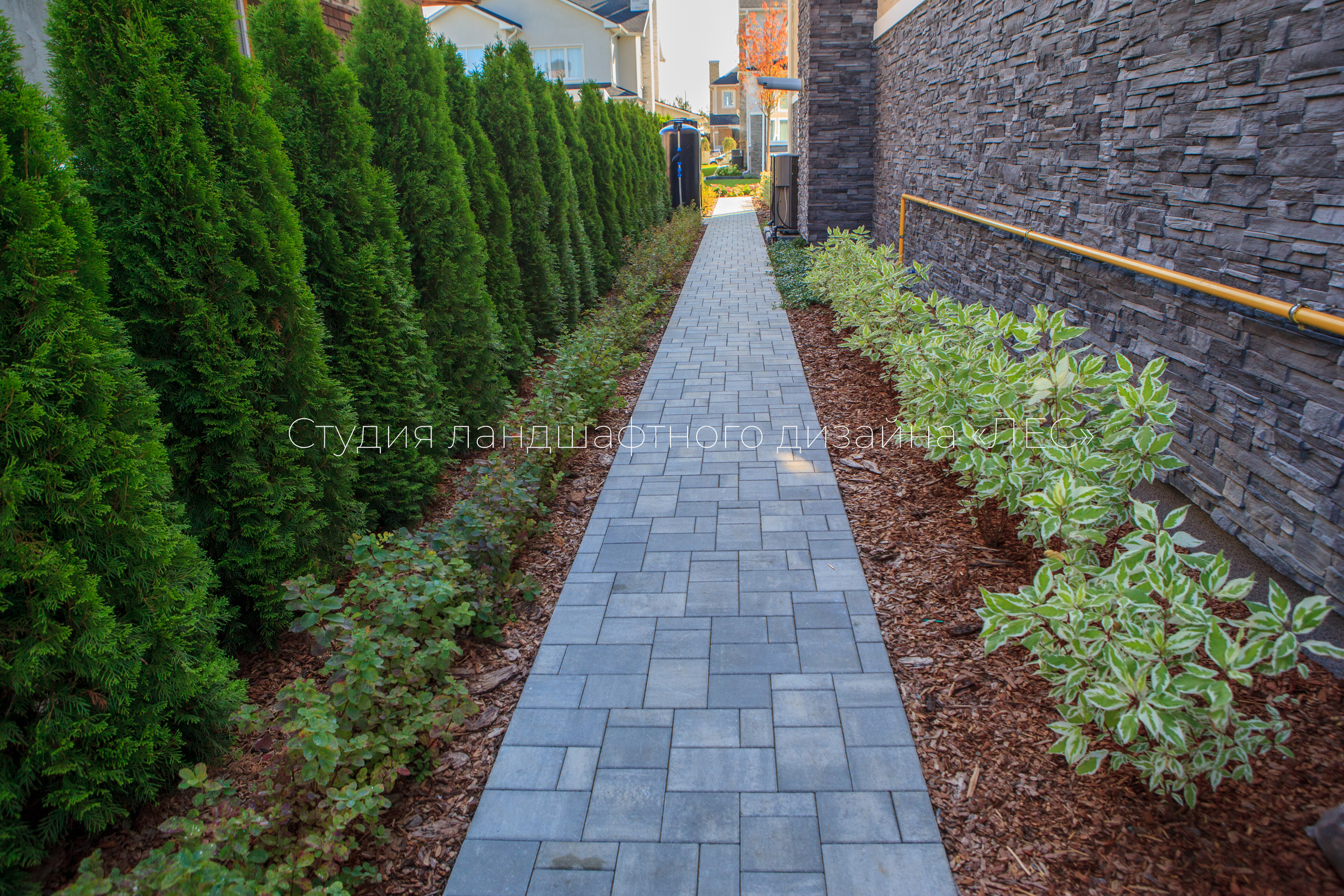 “Аллея света”