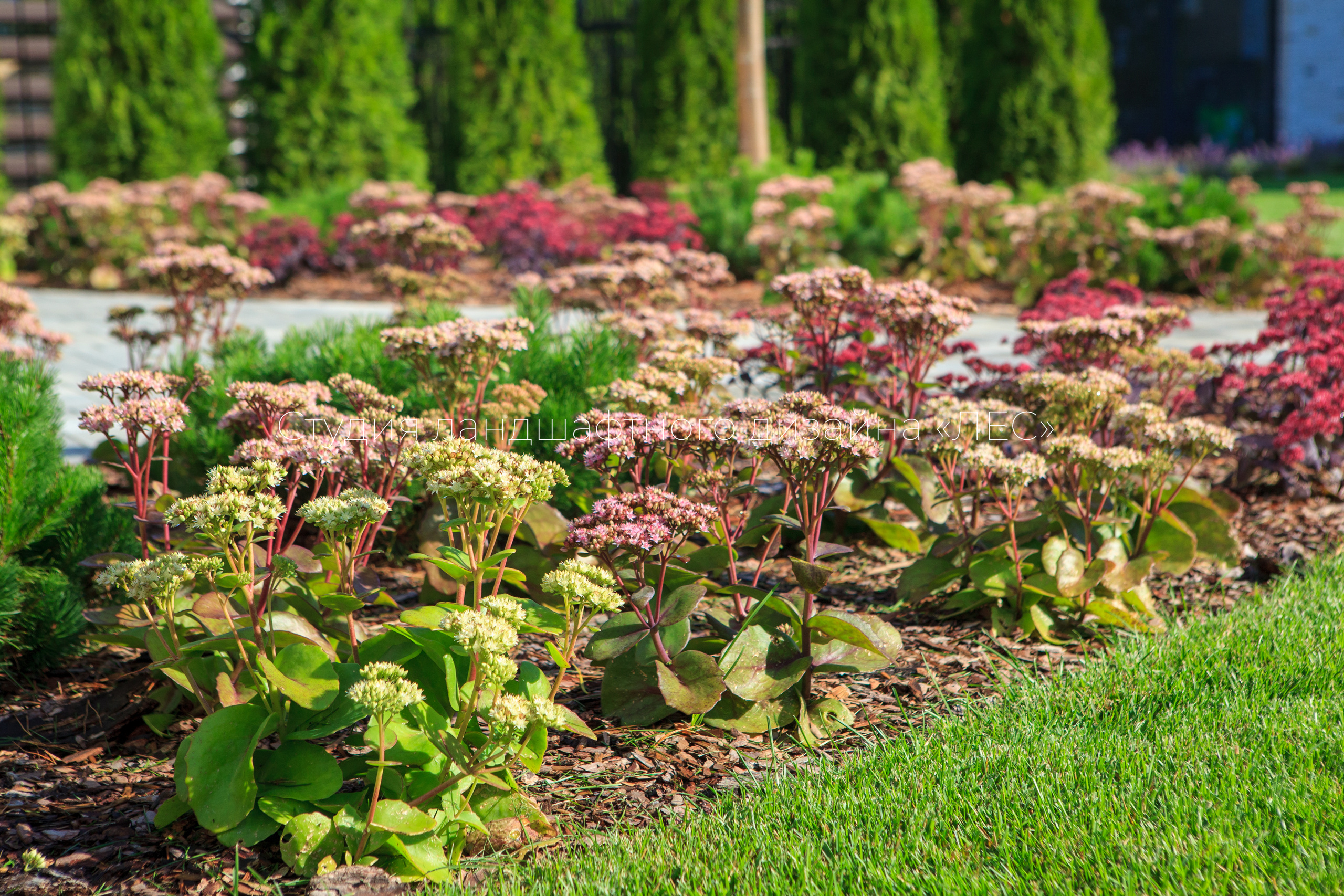 “Аллея света”