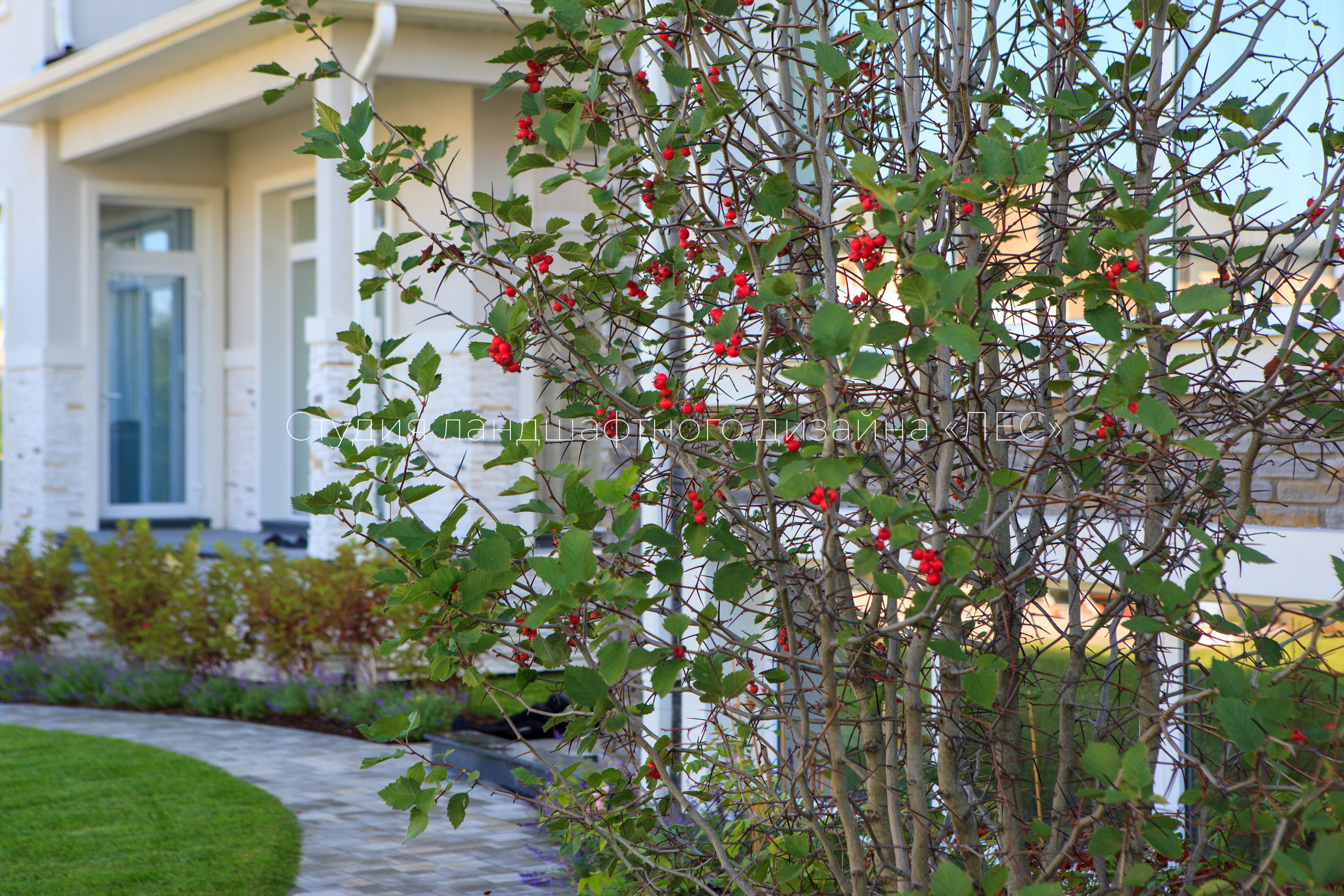 “Аллея света”