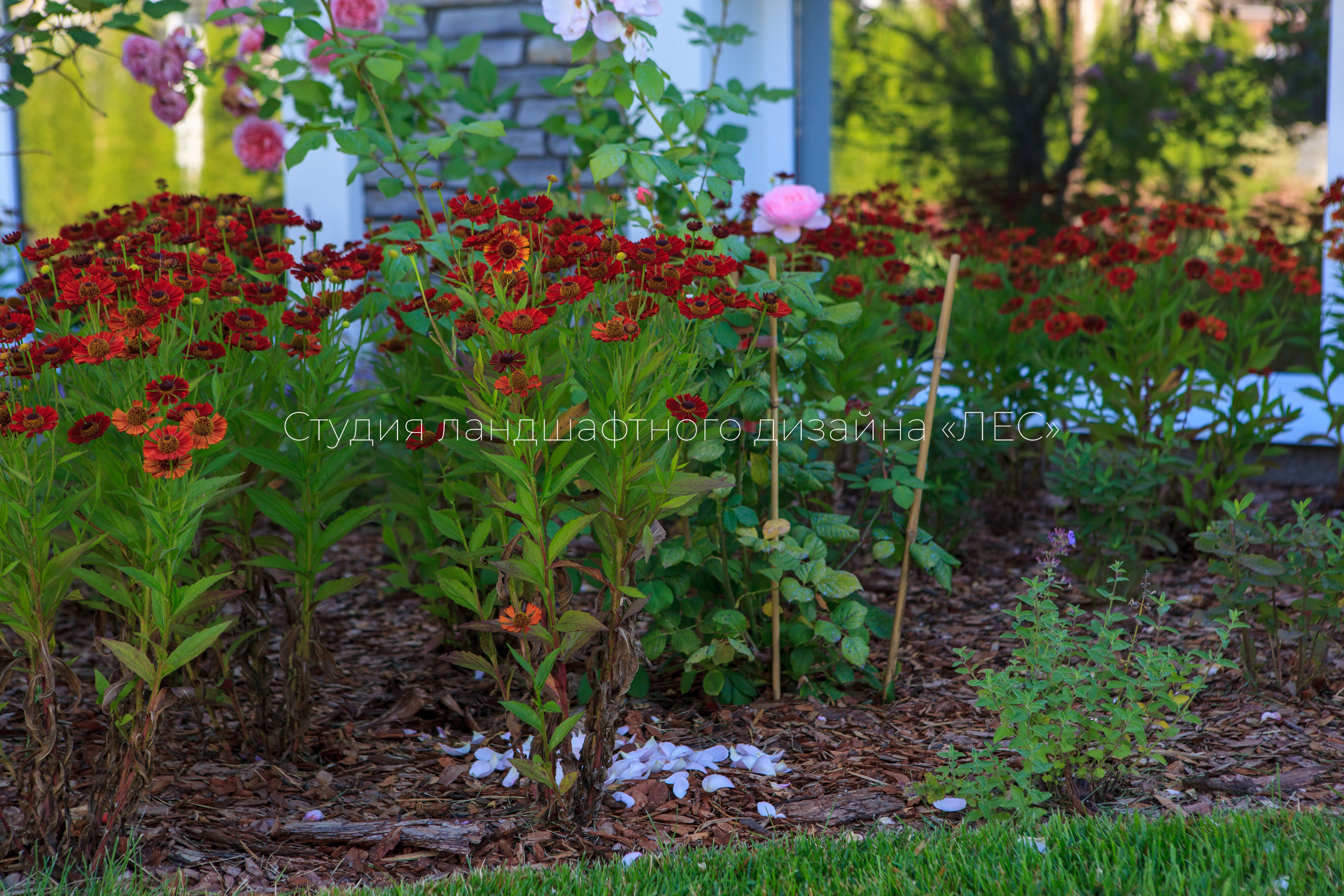 “Аллея света”