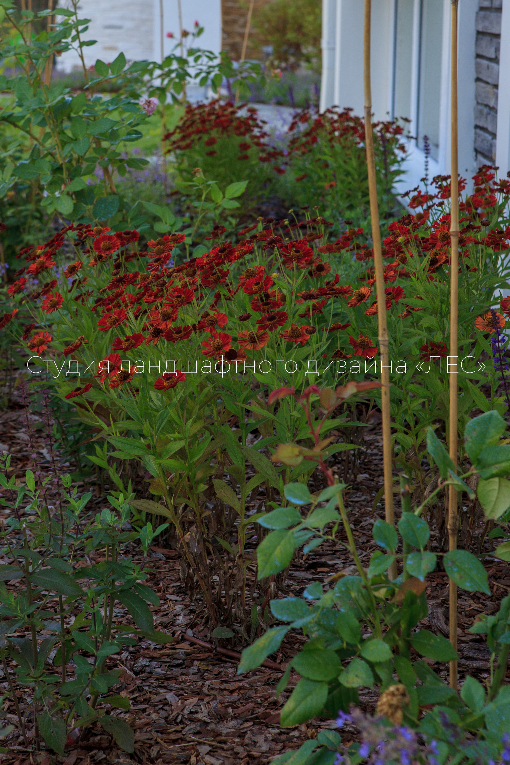 “Аллея света”