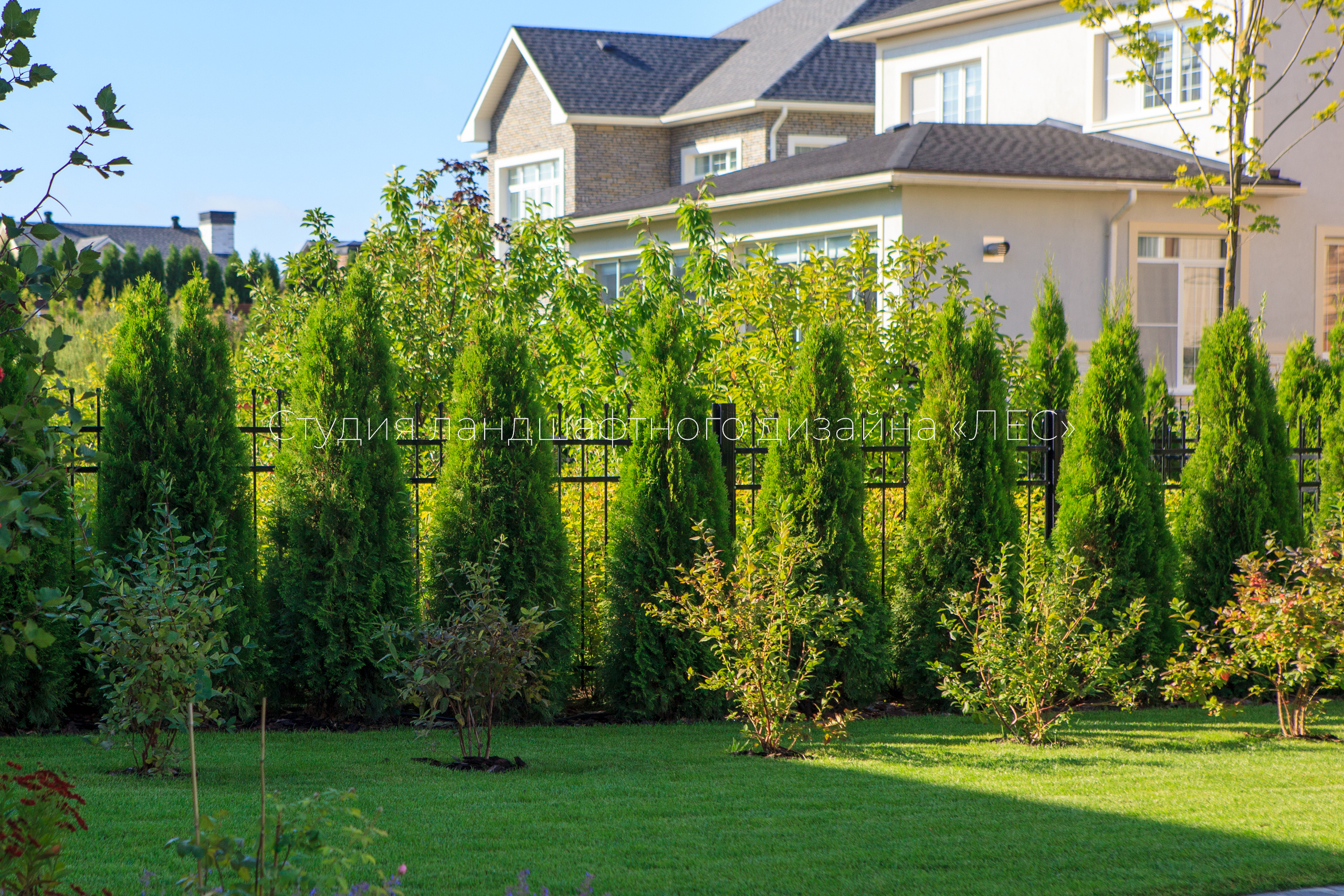 “Аллея света”