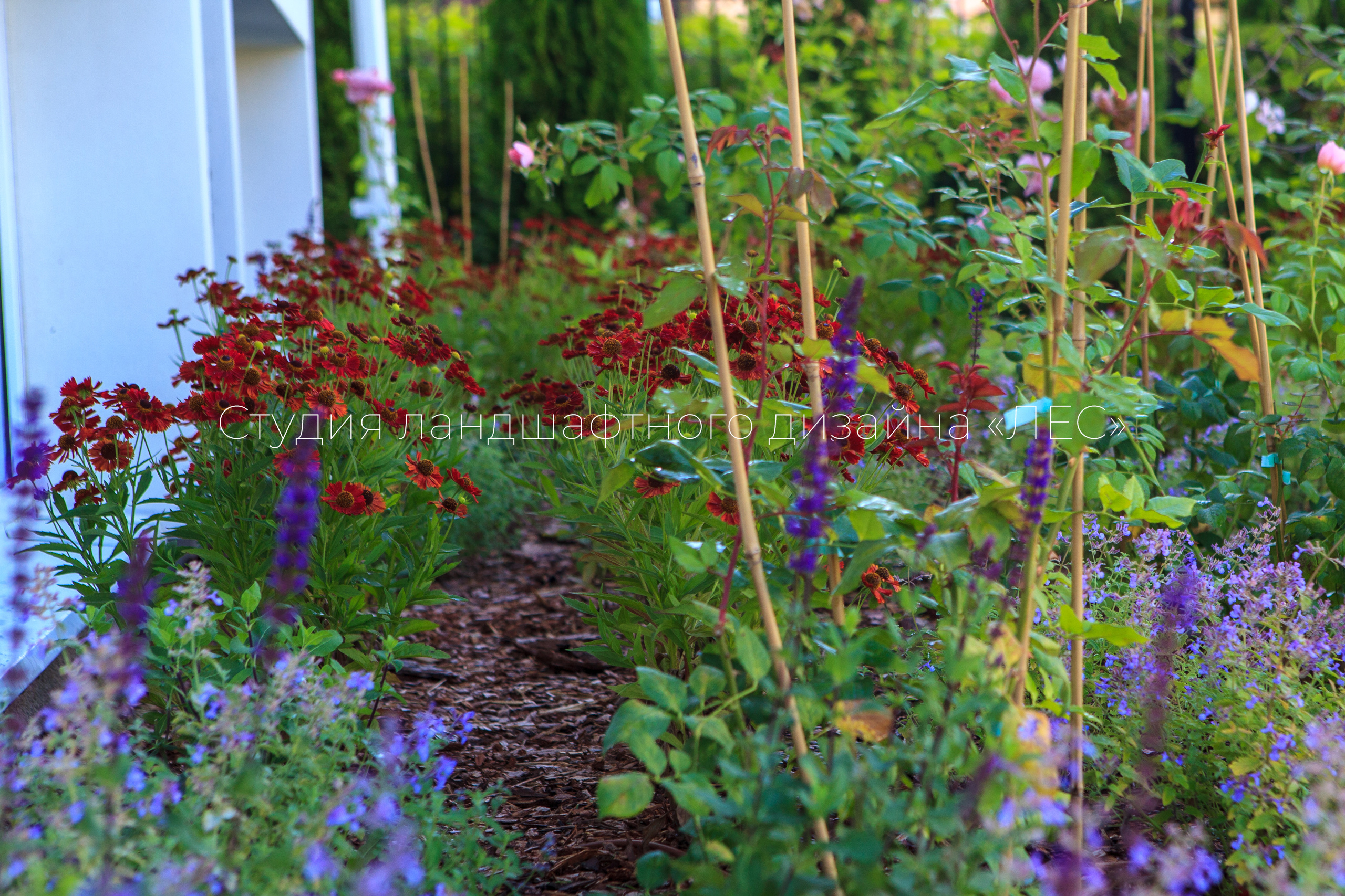 “Аллея света”