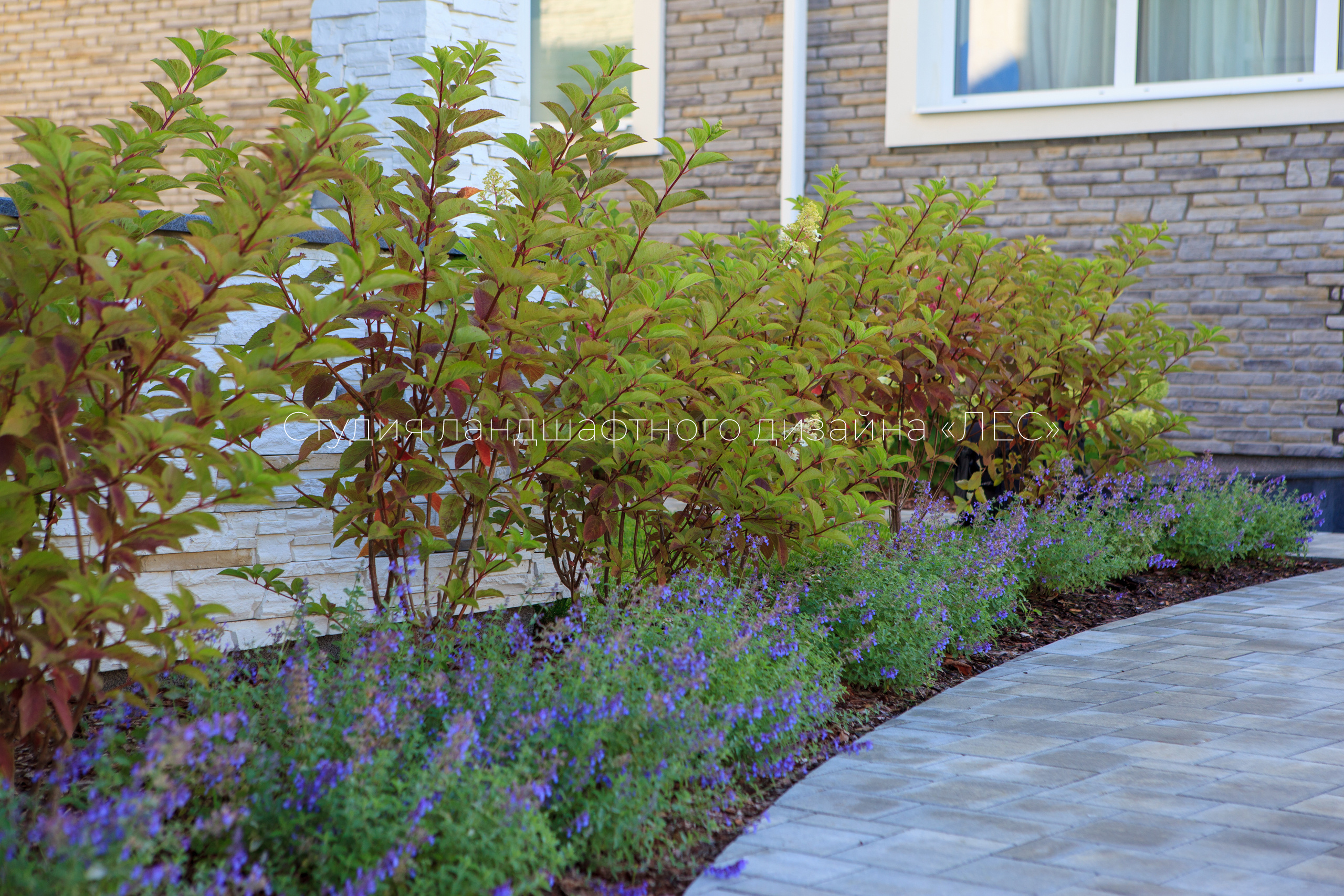 “Аллея света”