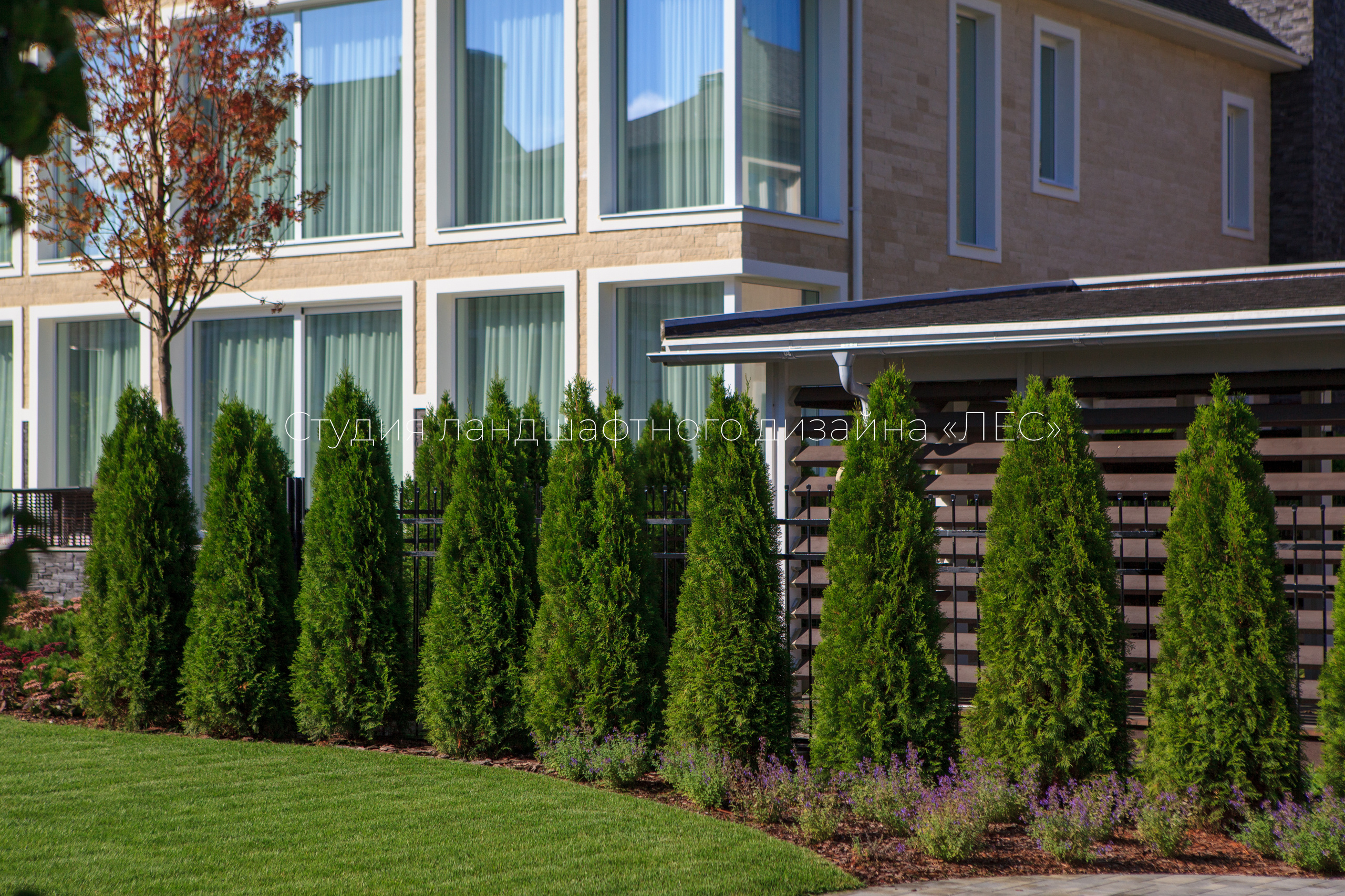 “Аллея света”