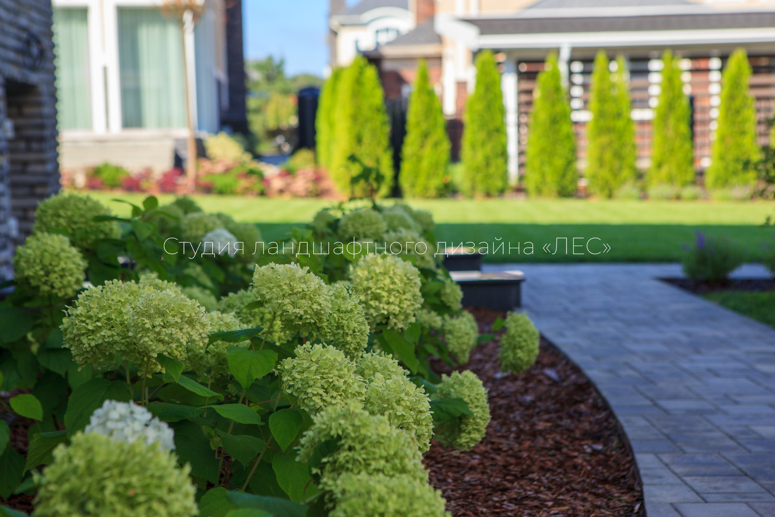 “Аллея света”