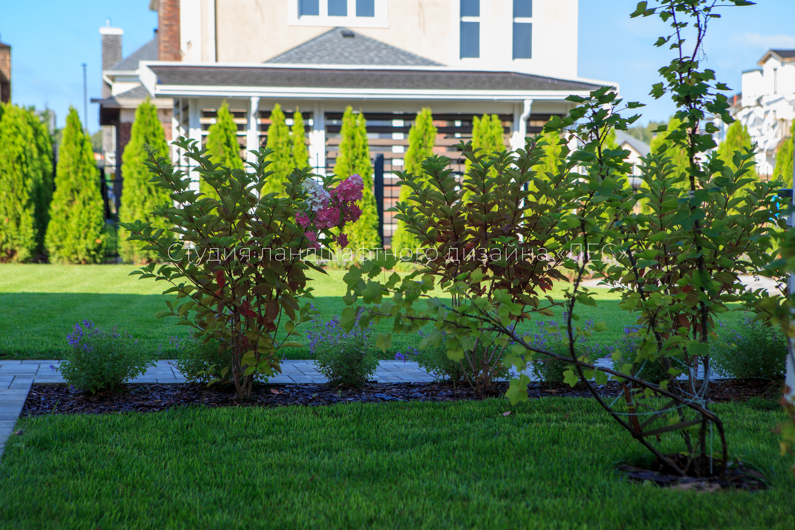 “Аллея света”