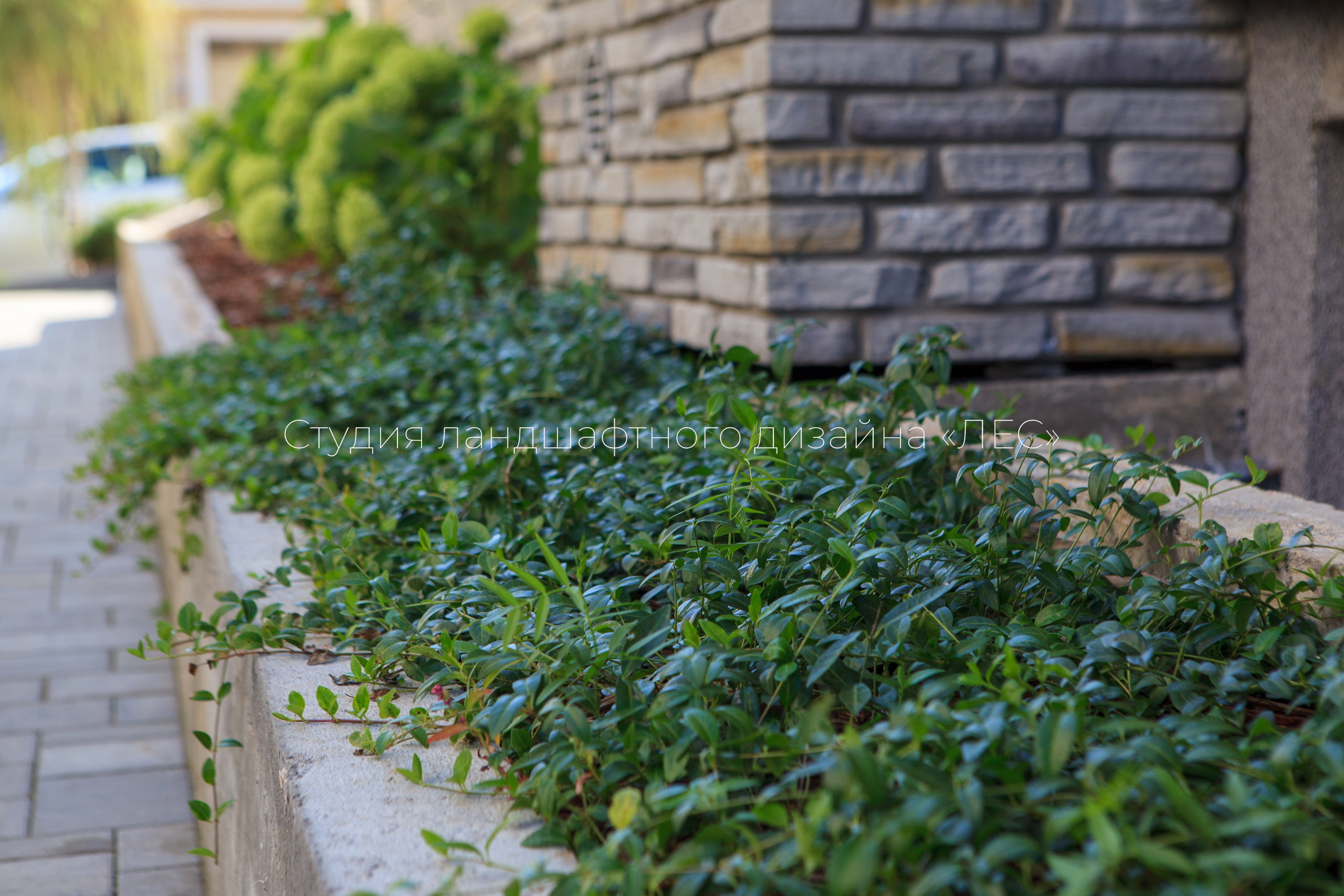 “Аллея света”