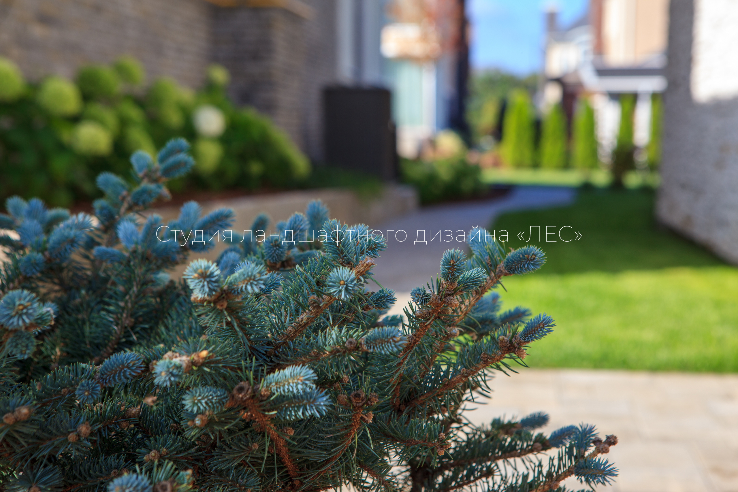 “Аллея света”