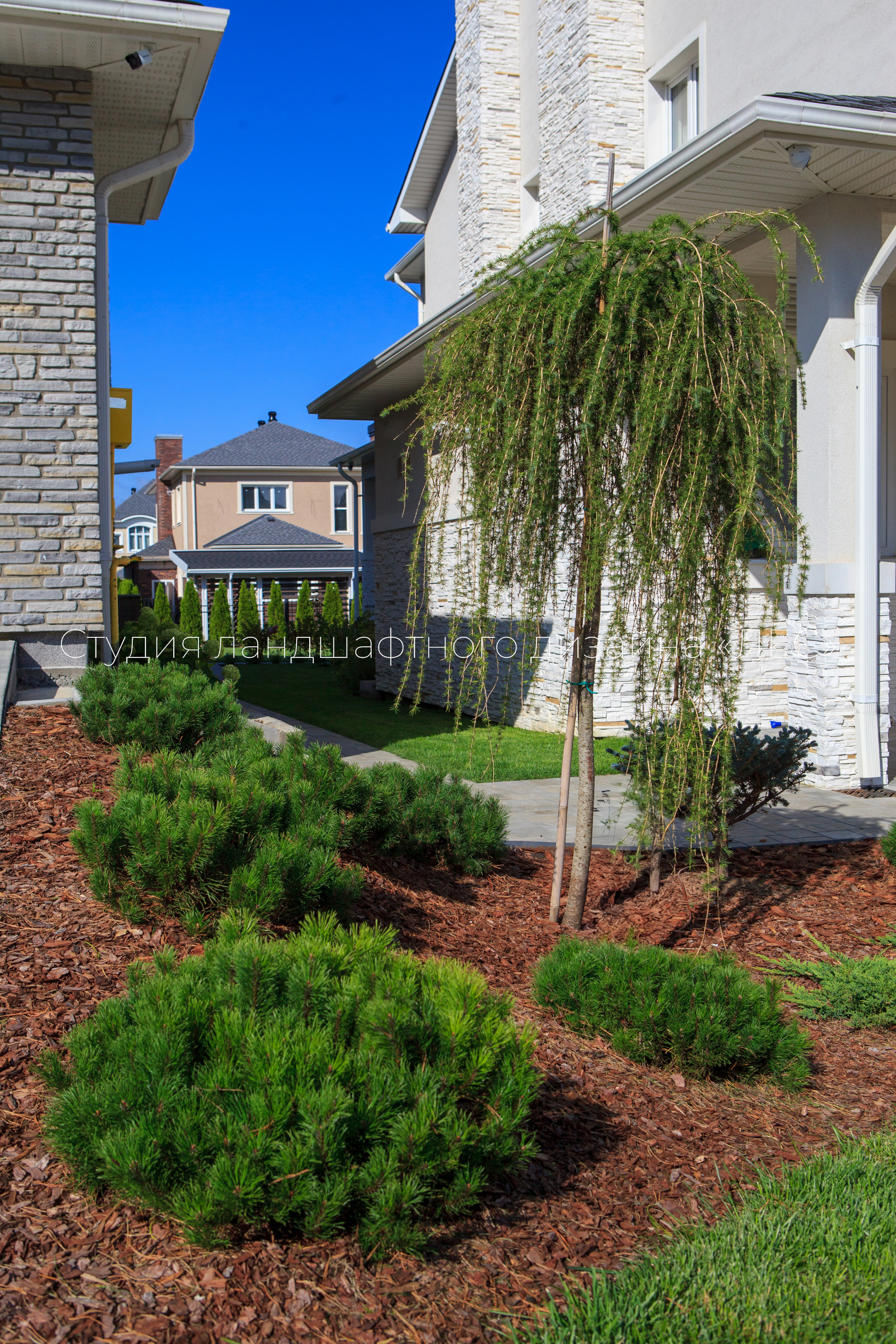 “Аллея света”