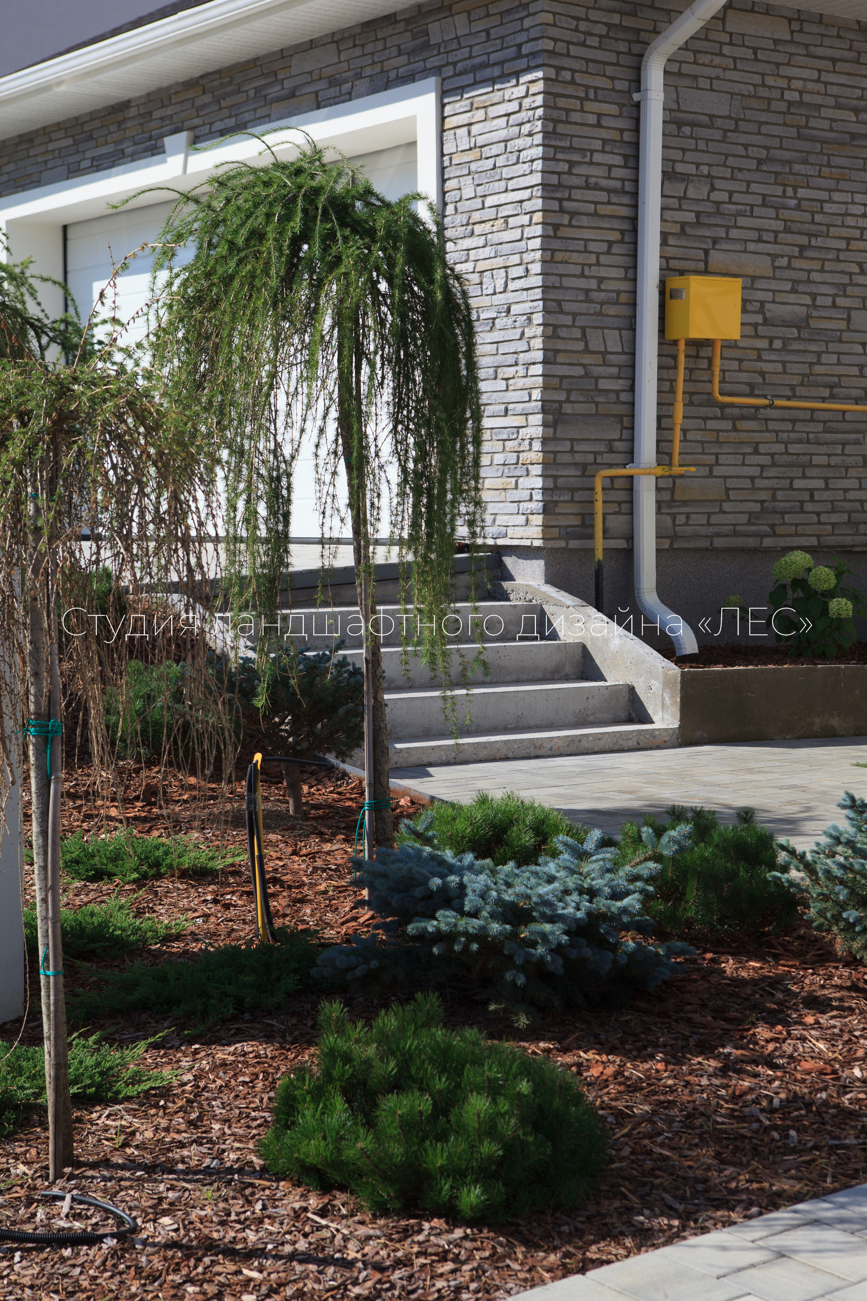 “Аллея света”