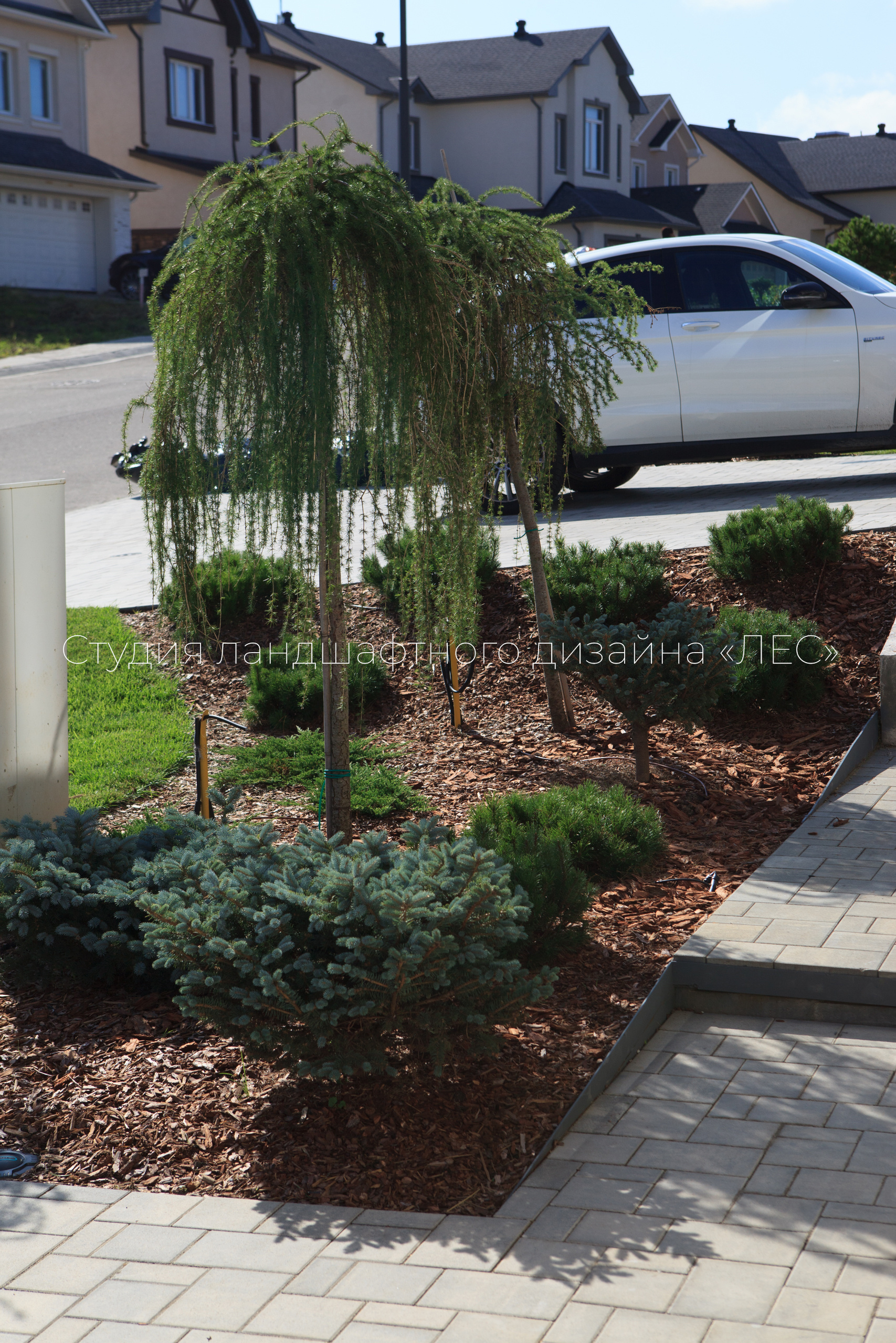 “Аллея света”