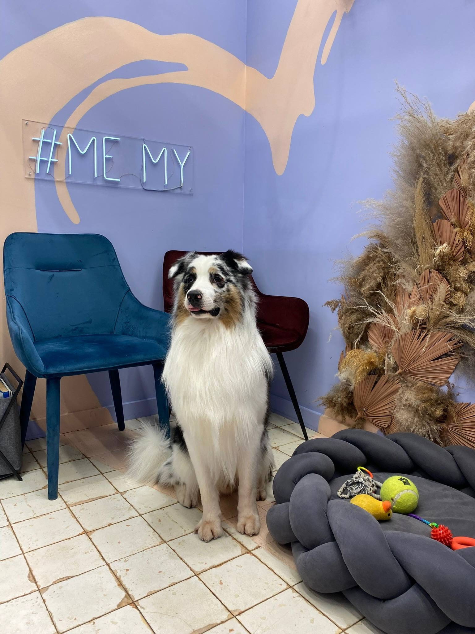 Салон ME MY Груминг на Левел Амурская