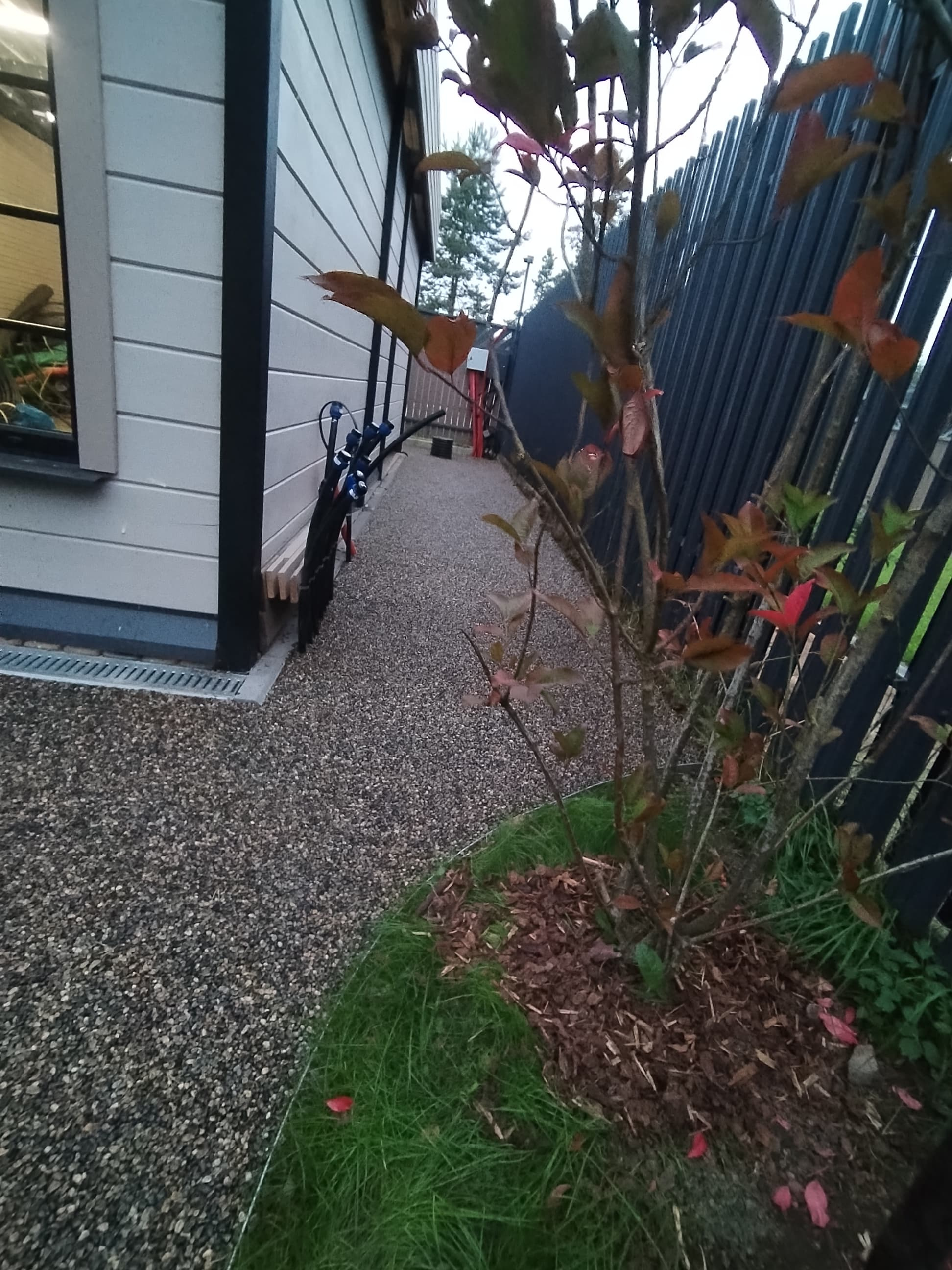 Каменный ковер